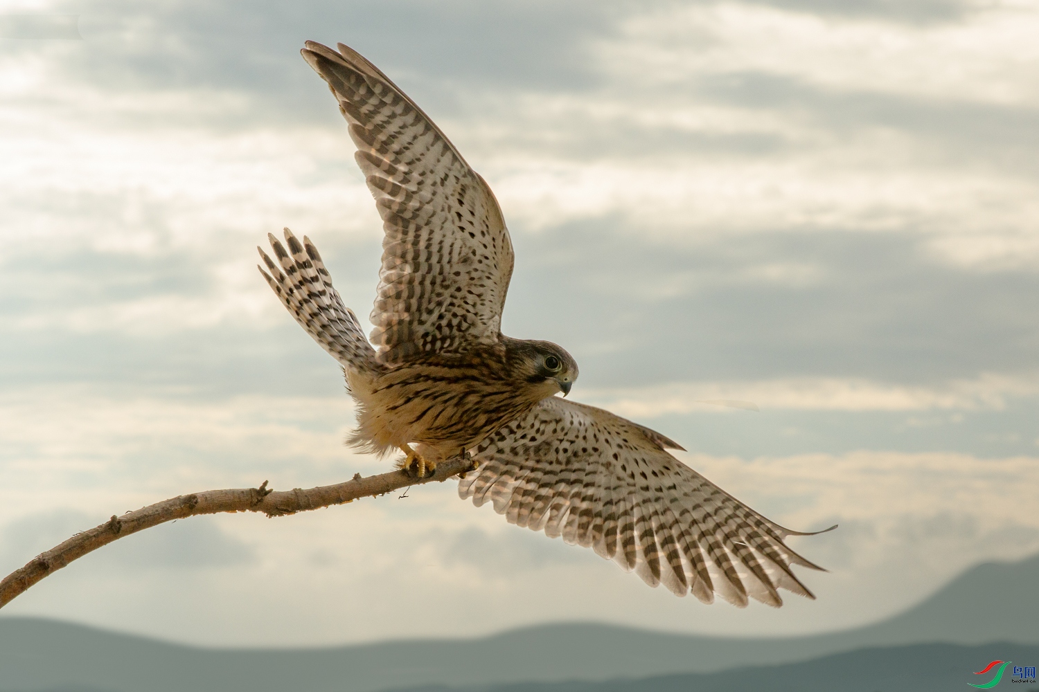 1N5A7931 ����.jpg