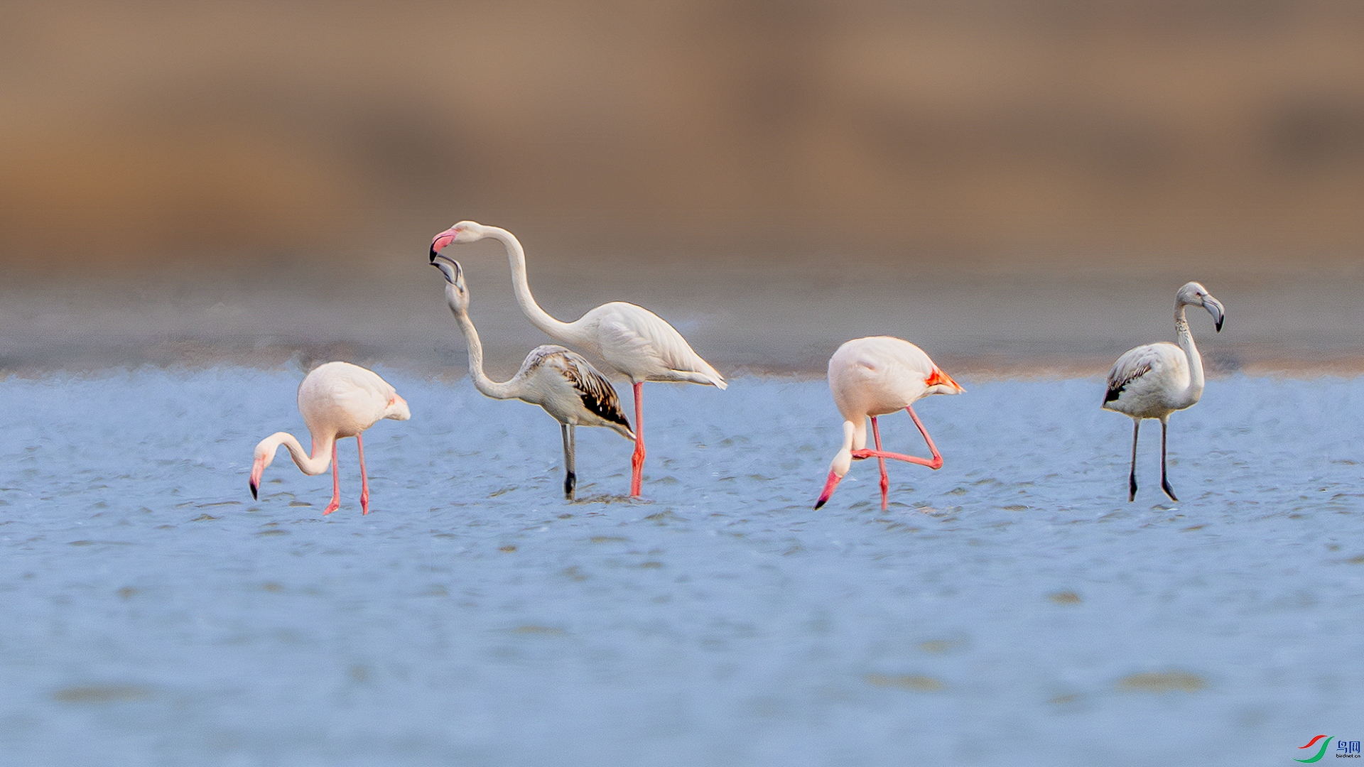 _DSC0035-����ǿ-NR ����С_1.jpg