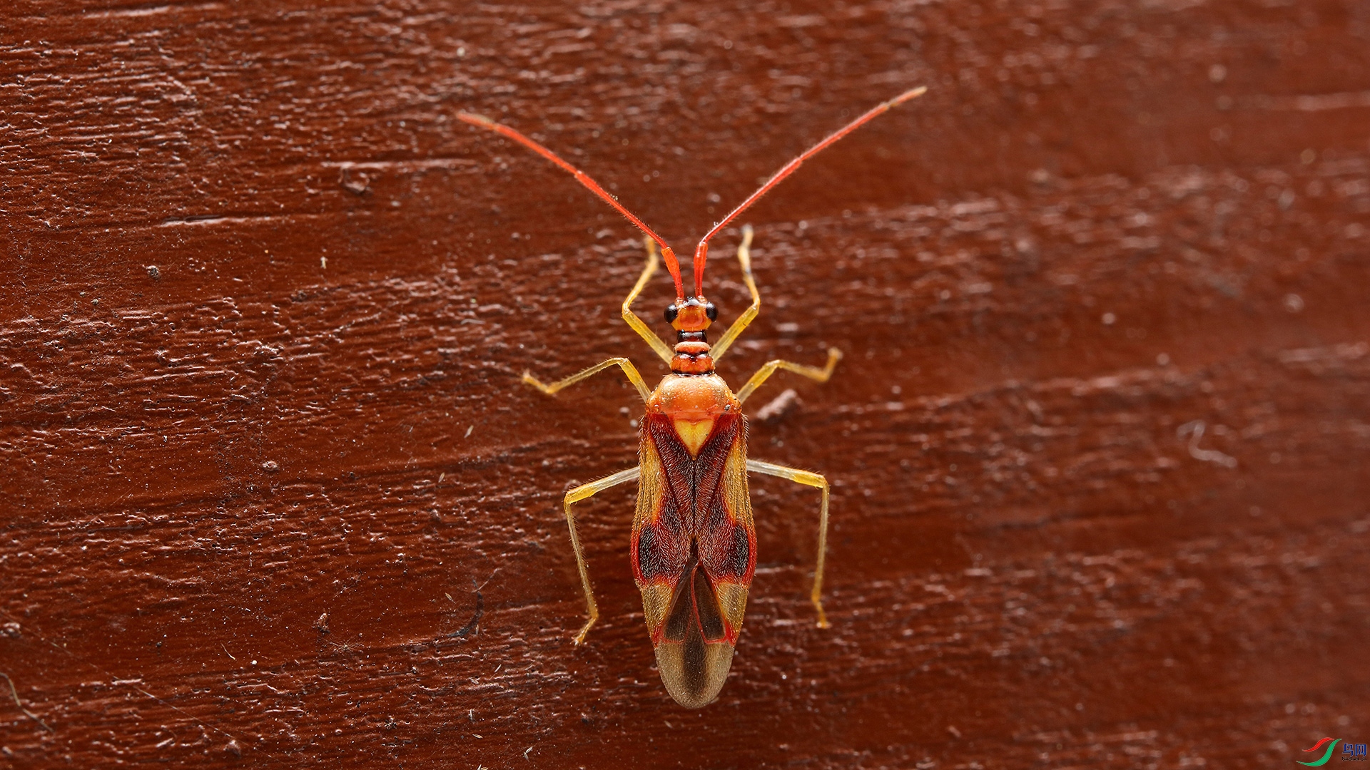 0M7A1752024.jpg