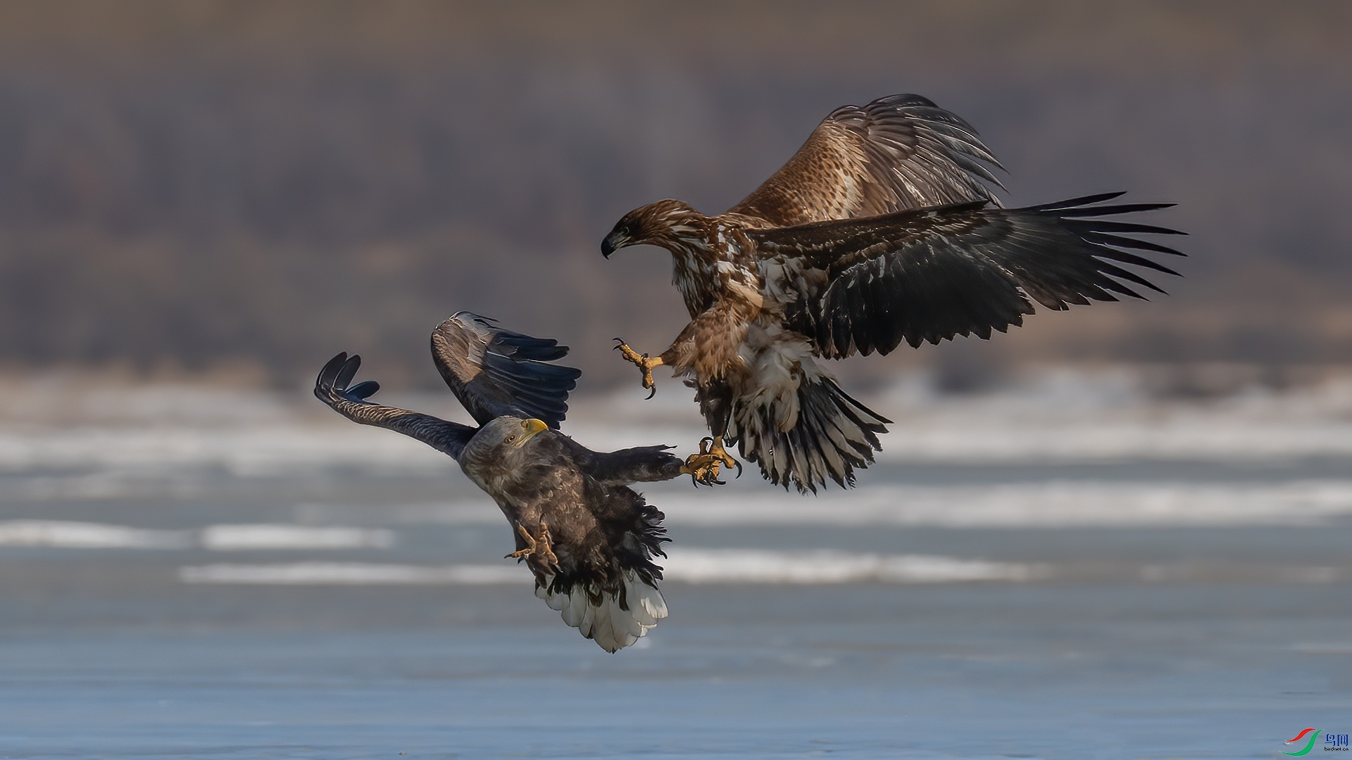 IMG_3630 ���� 2.jpg