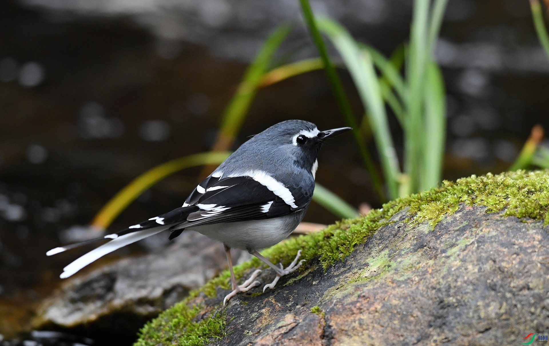 DSC_3482.jpg