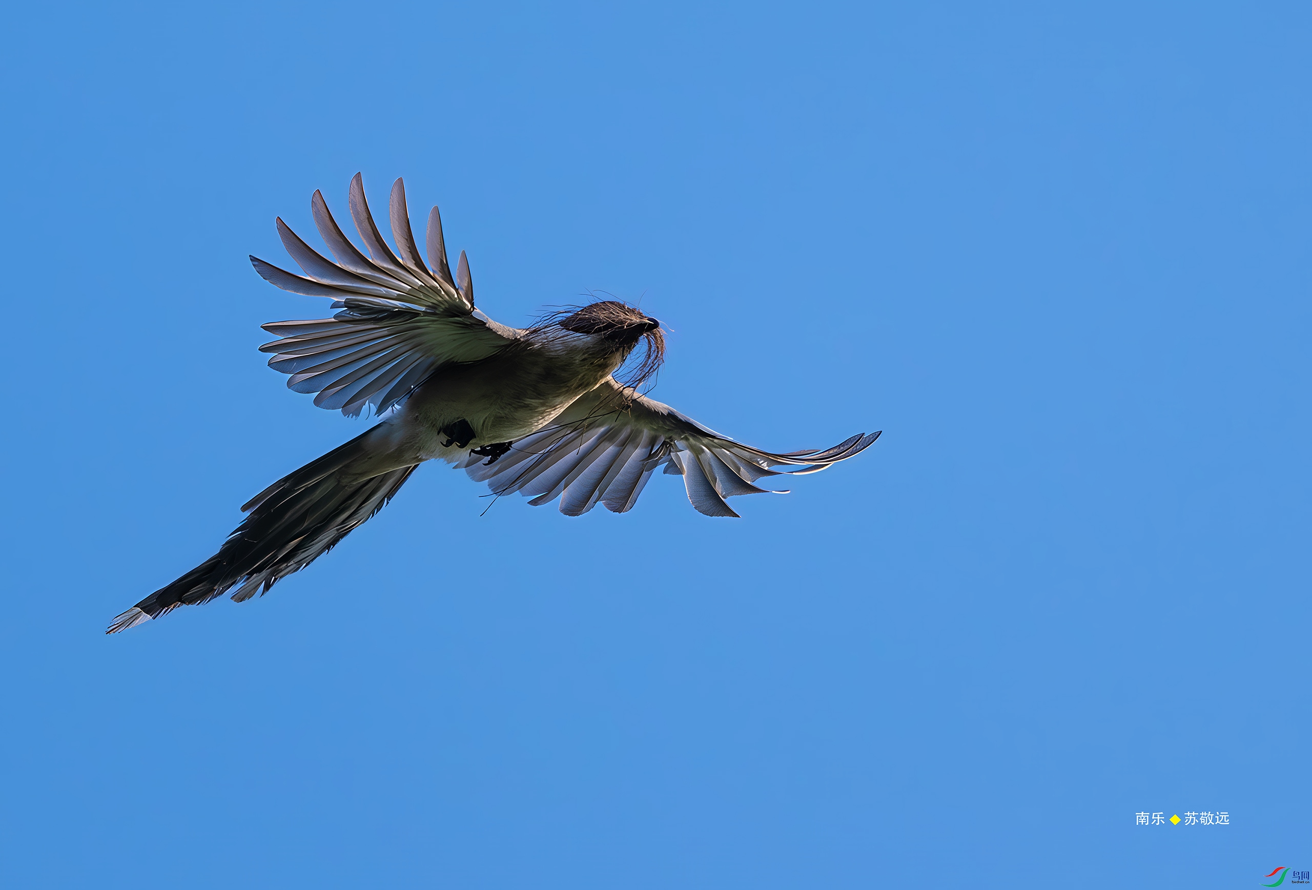 _DSC1296-DxO_С.jpg