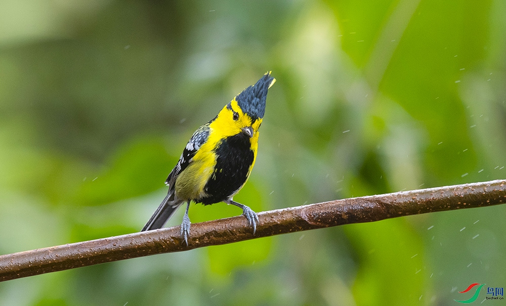 �Ƽ�ɽȸ (2).jpg