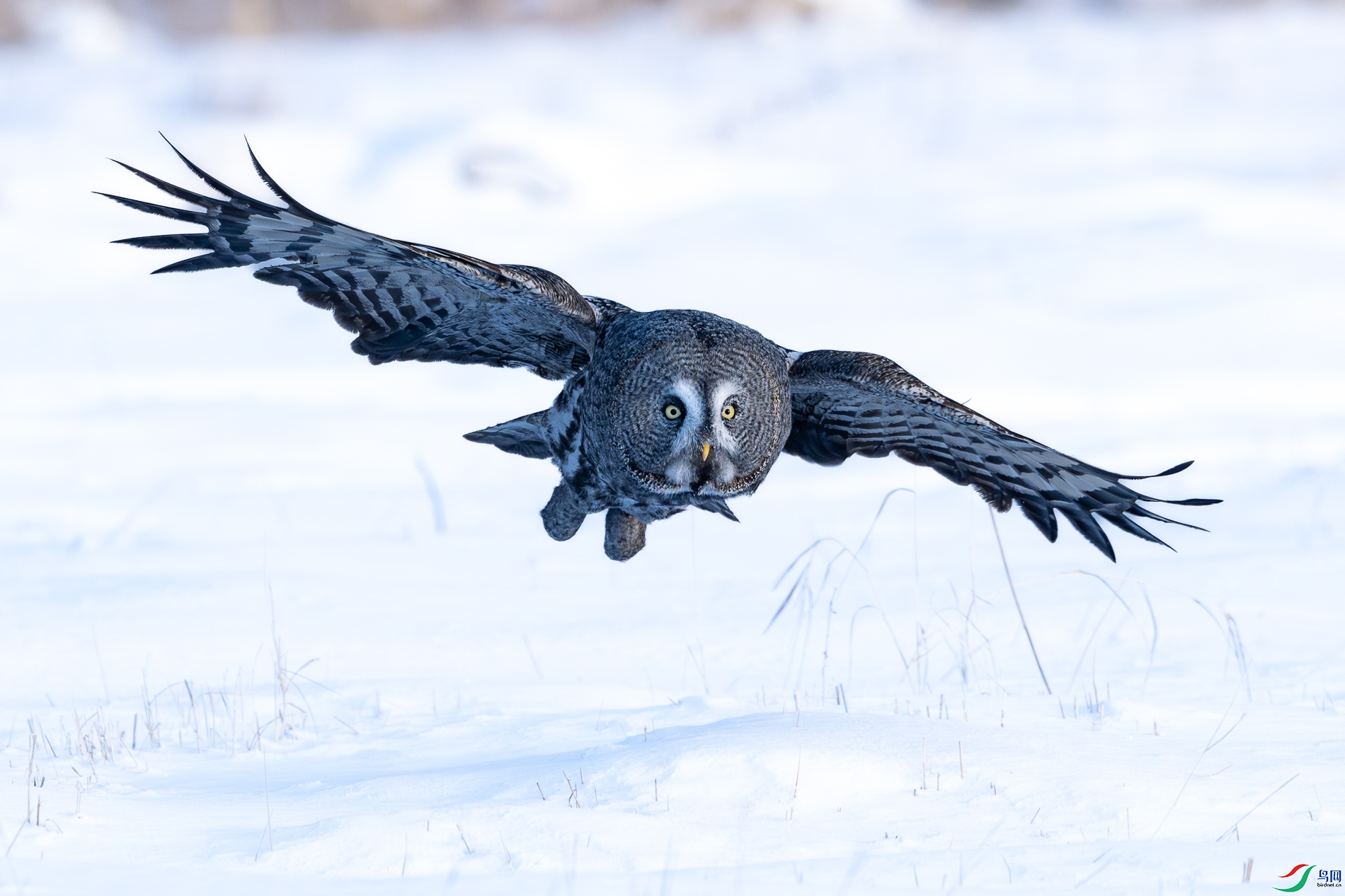 _DSC5490_3.jpg