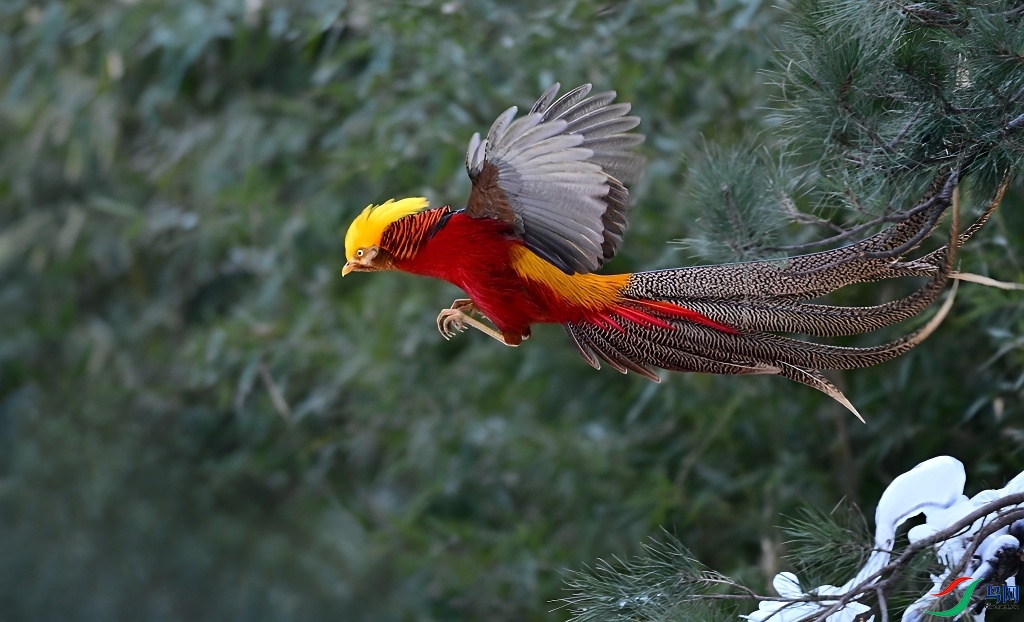DSC_2259.JPG
