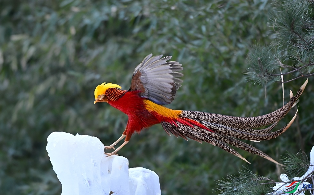 DSC_2262.JPG