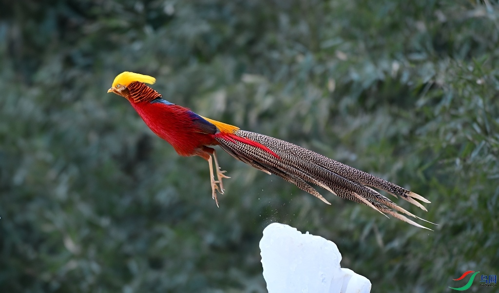 DSC_2321.JPG