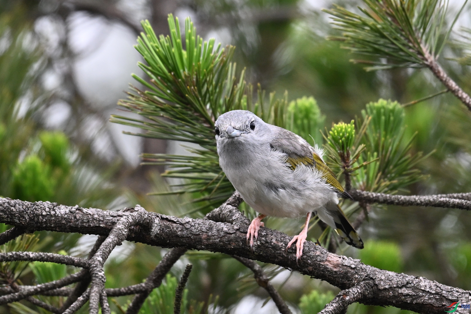 DSC_0819.JPG