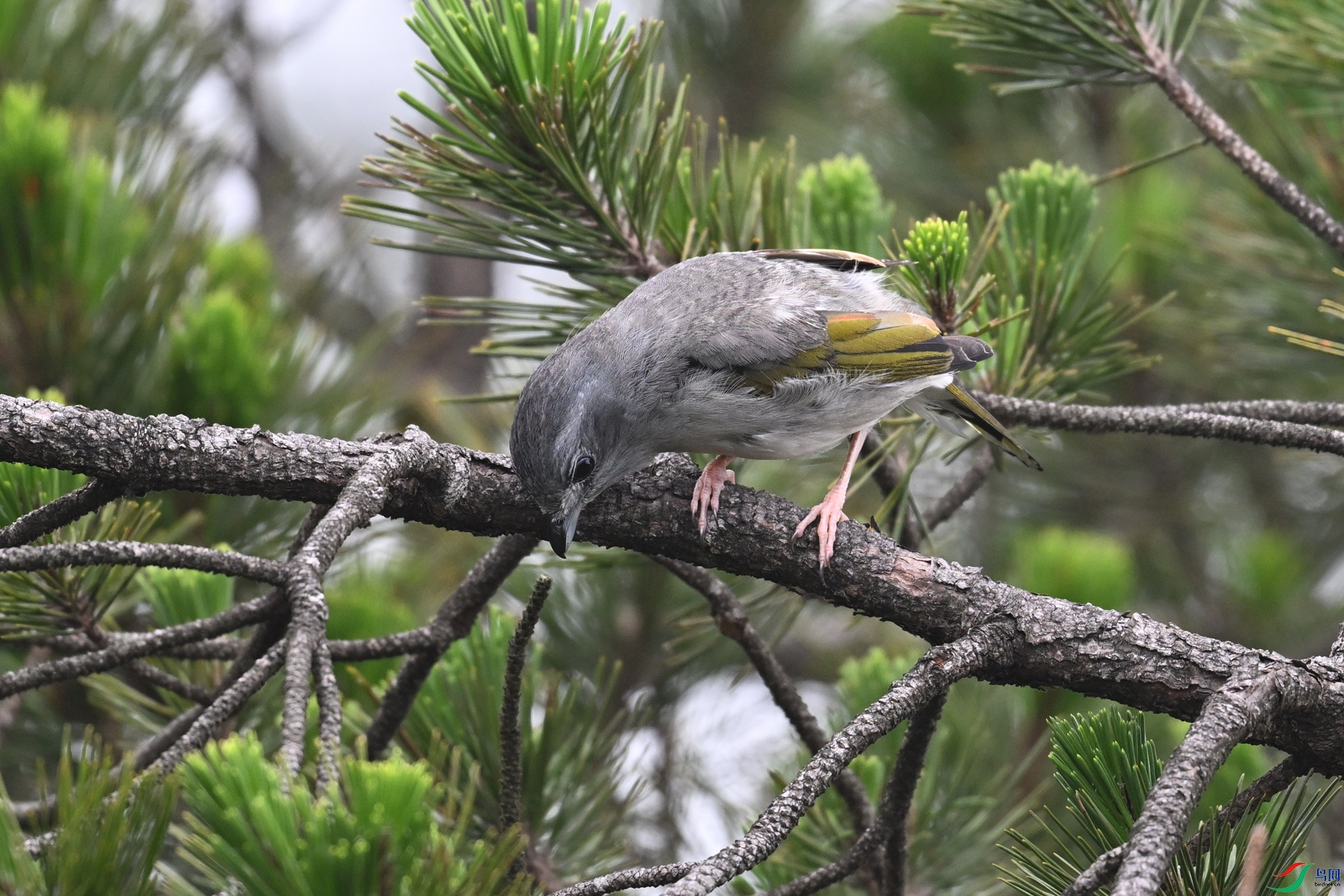 DSC_0789.JPG