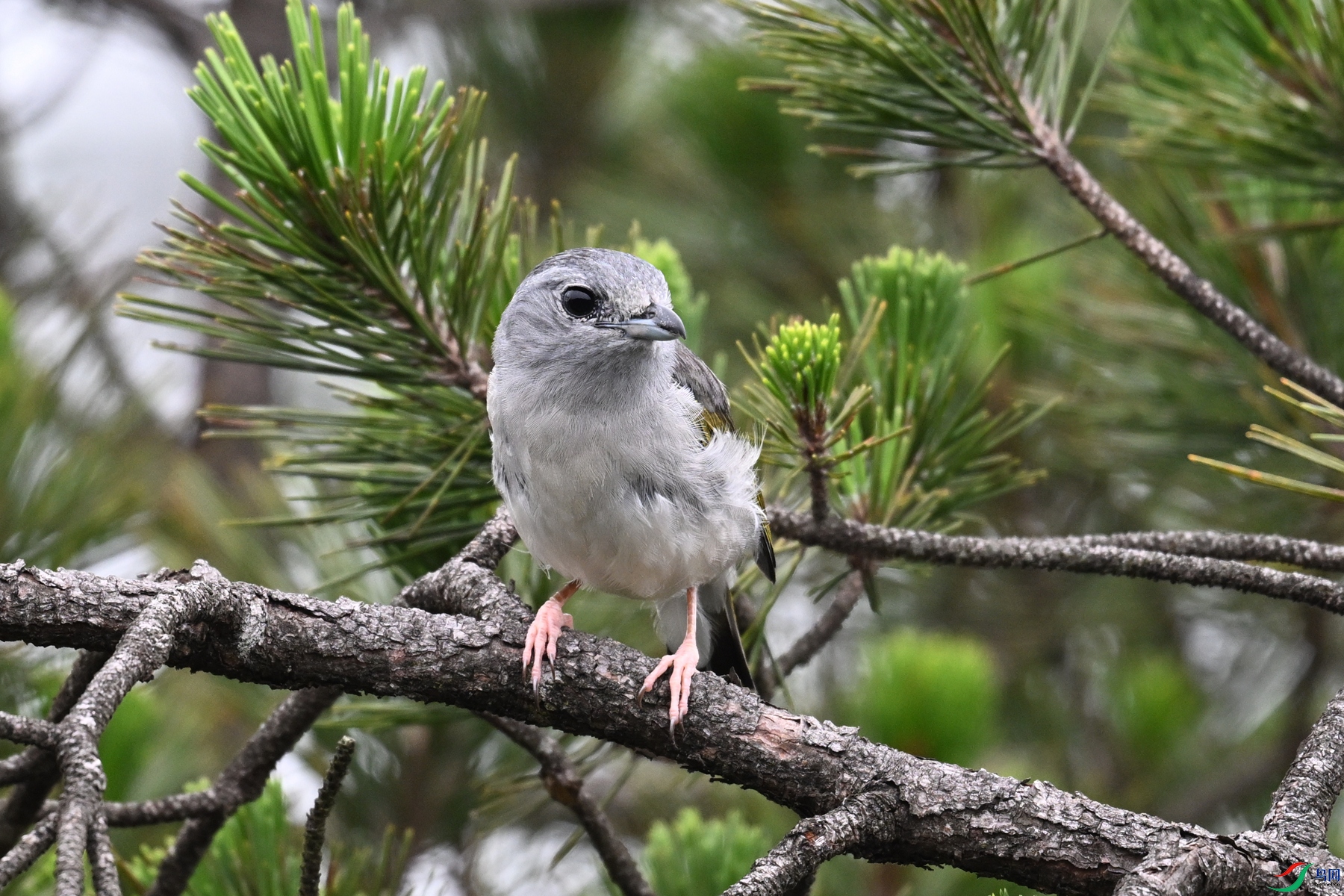 DSC_0829.JPG