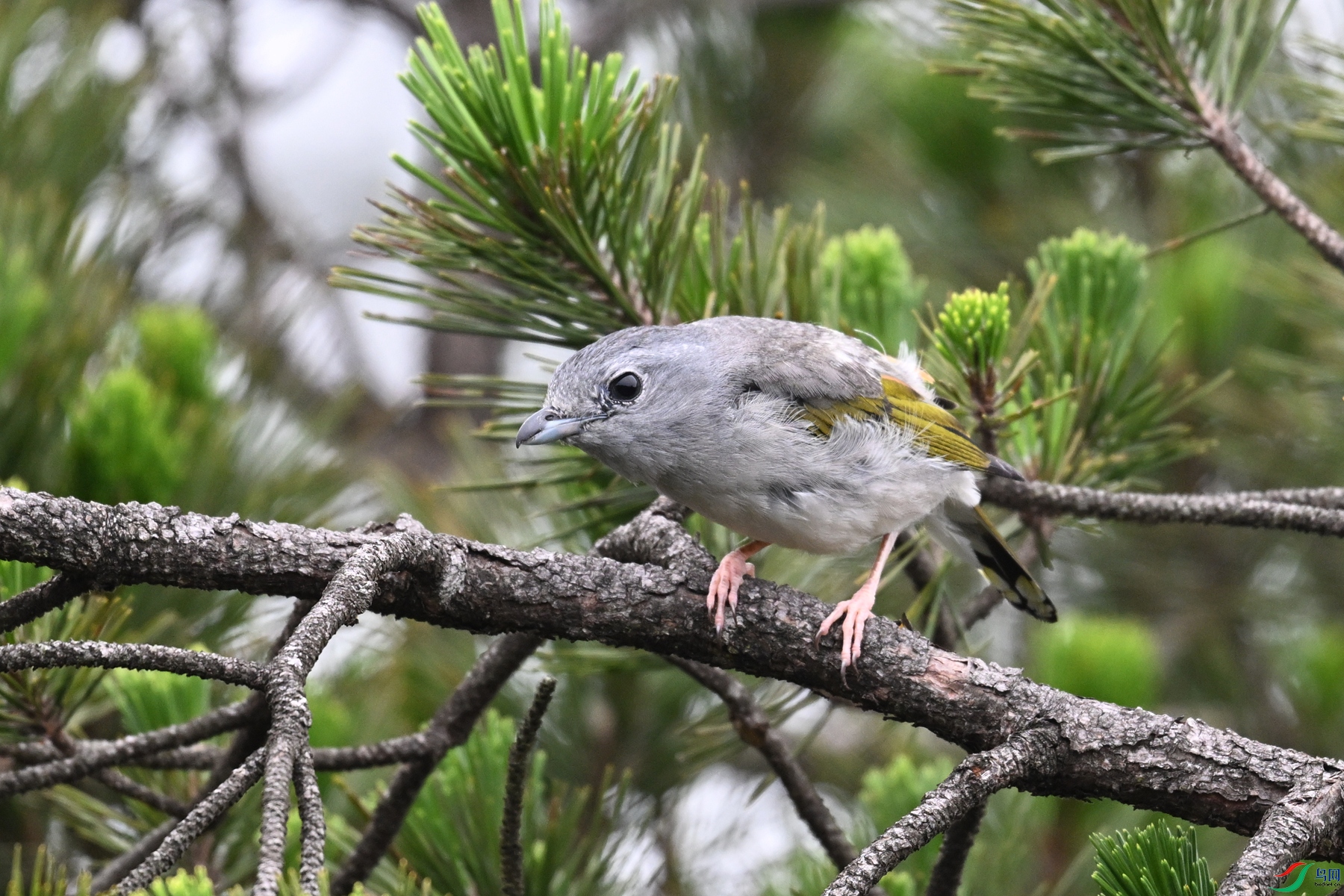 DSC_0805.JPG
