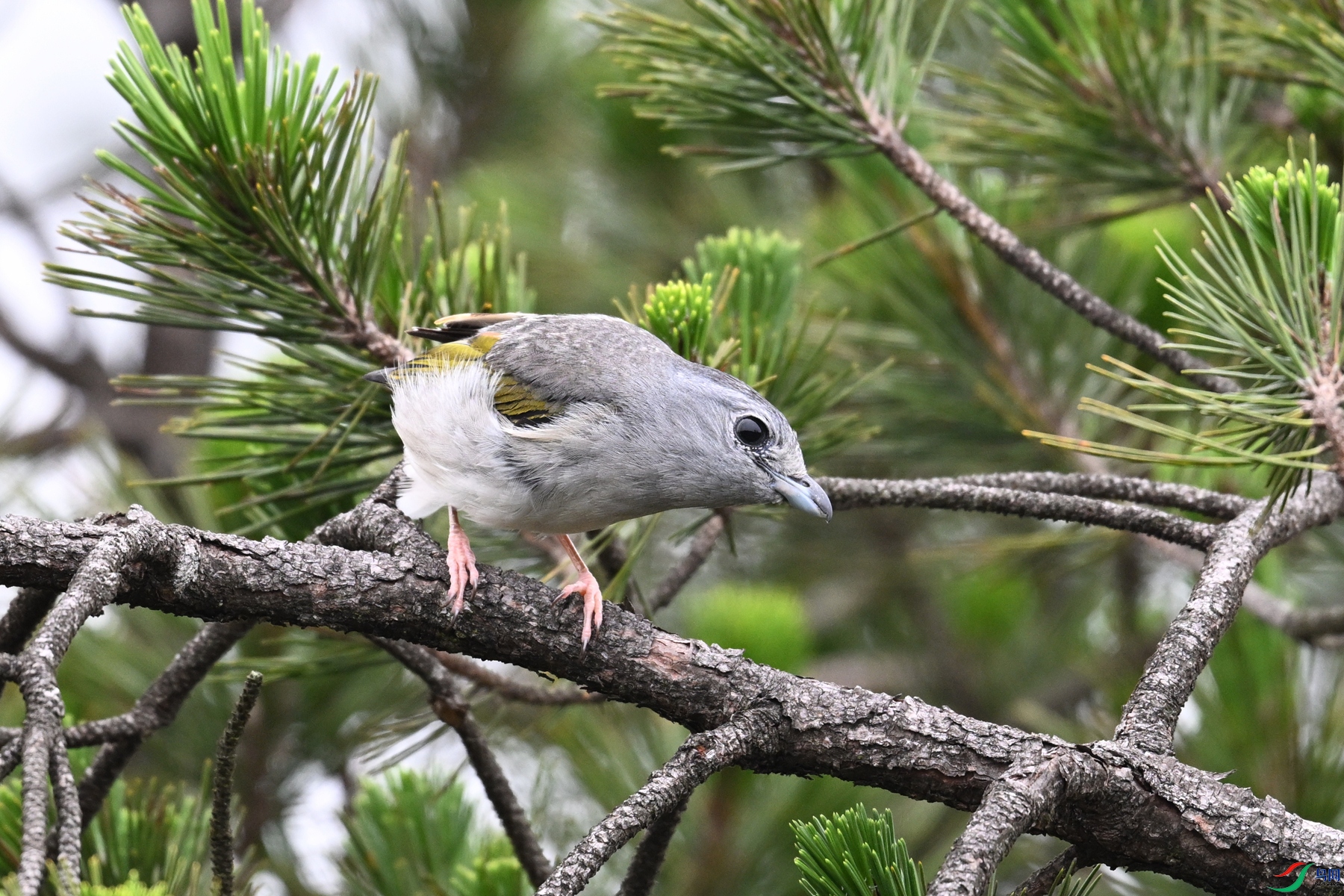 DSC_0837.JPG