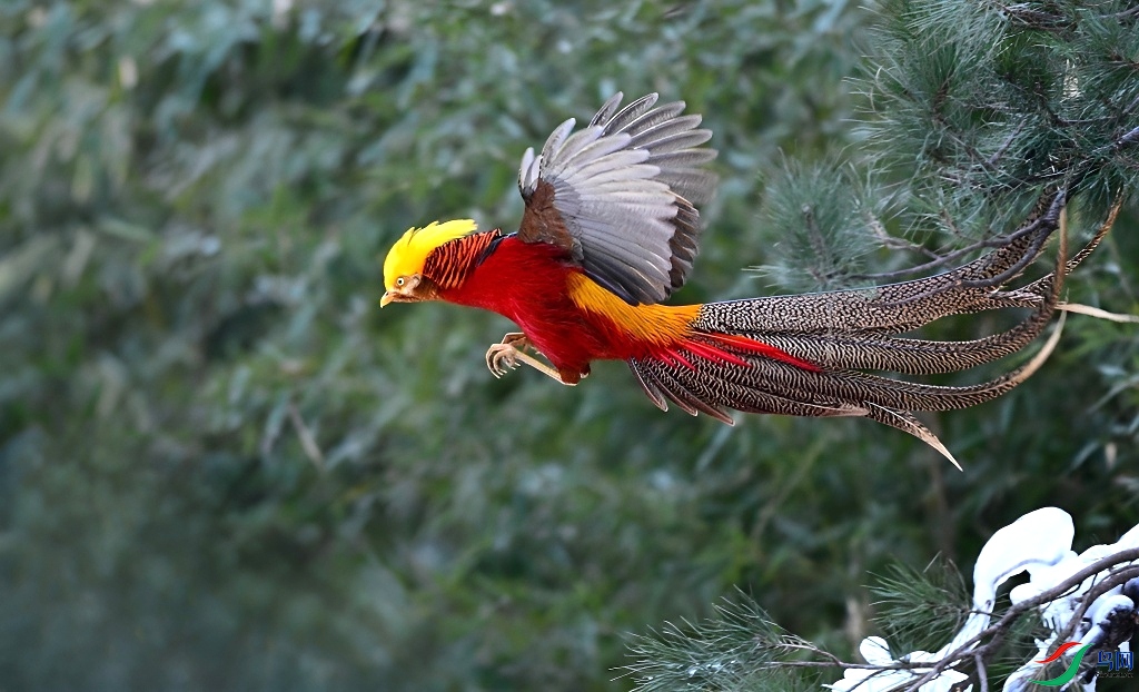 DSC_2259.JPG