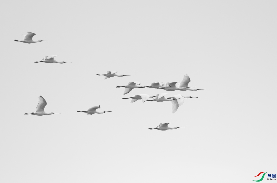 _DSC0000 (1).jpgz_������С.jpg