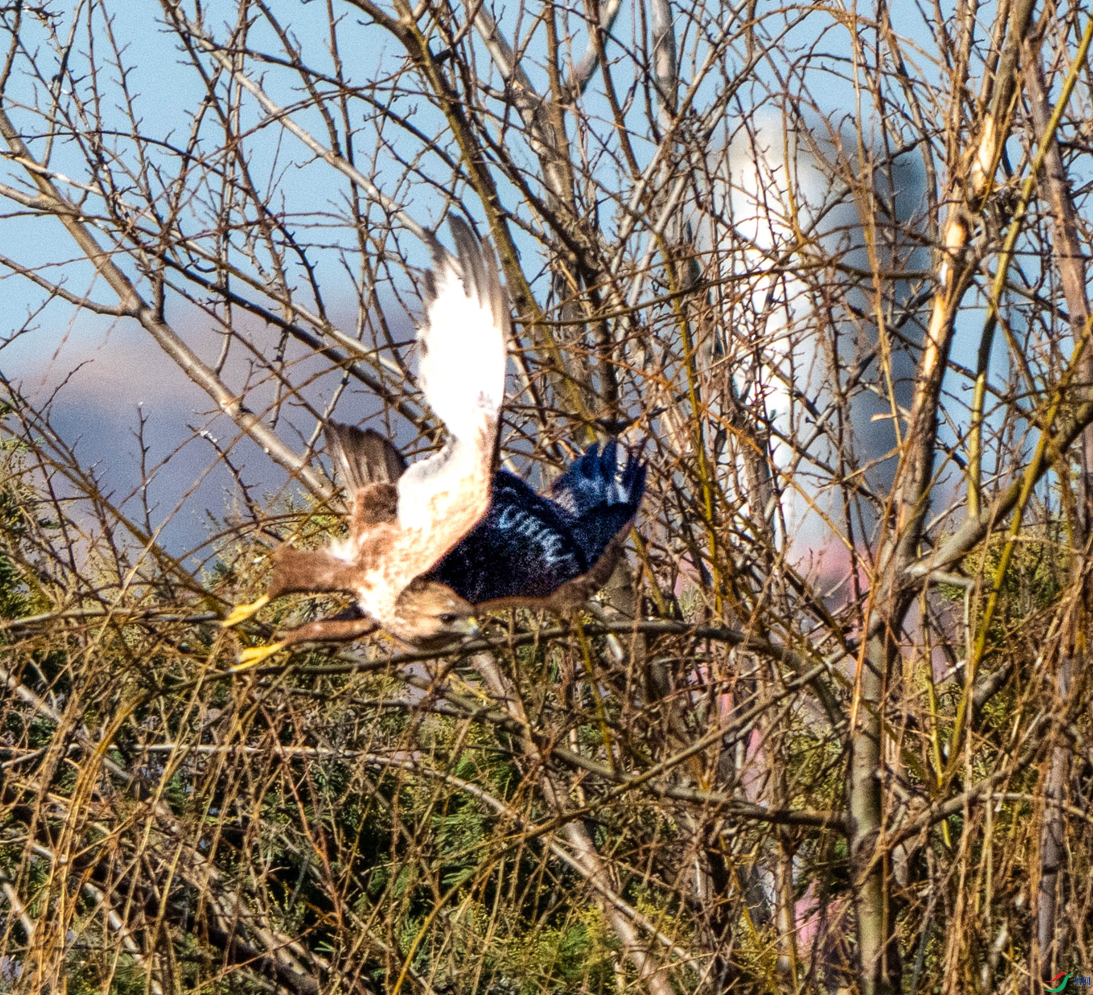 DSC04755.jpg