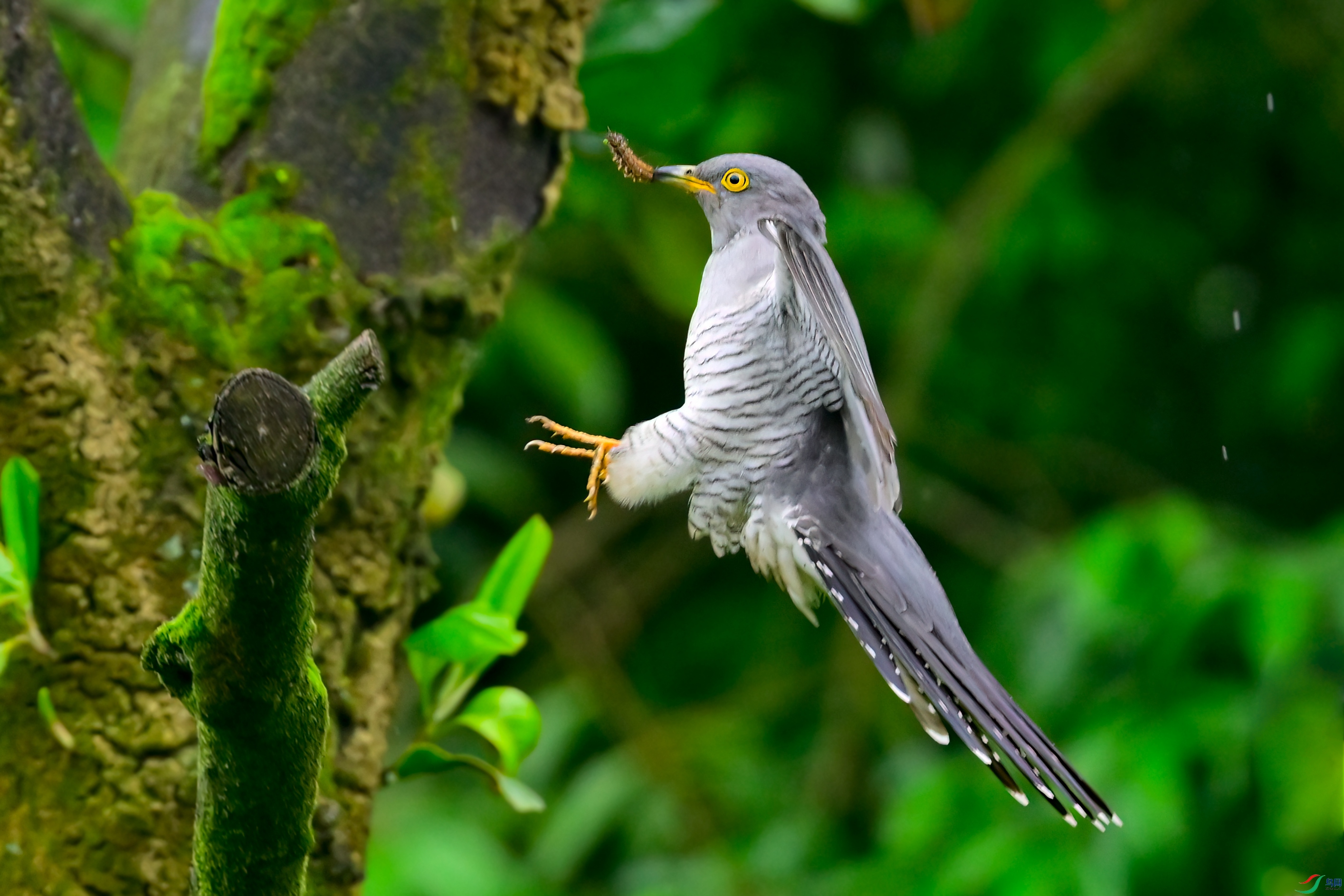 _DSC3673x.jpg