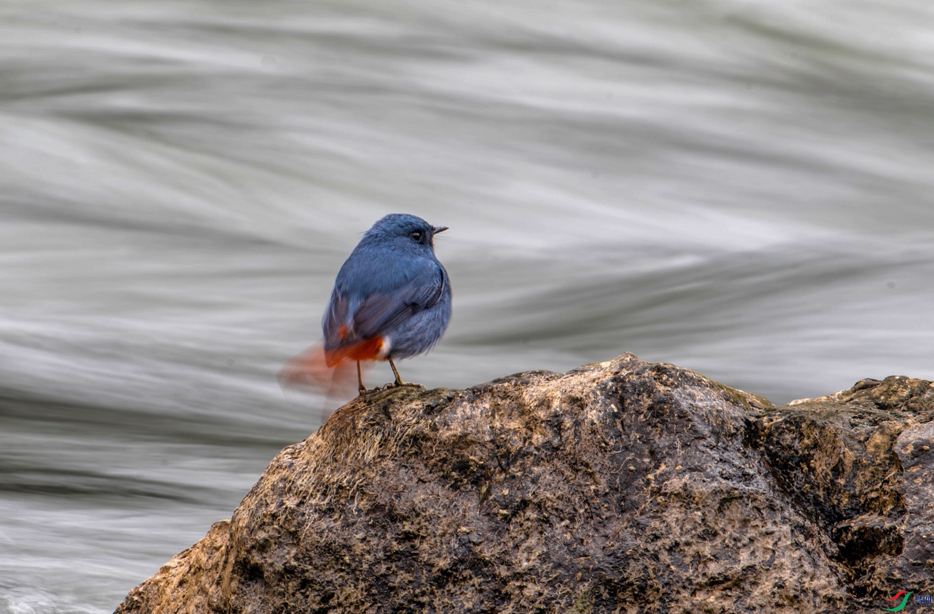 DSC_5500_����.jpg