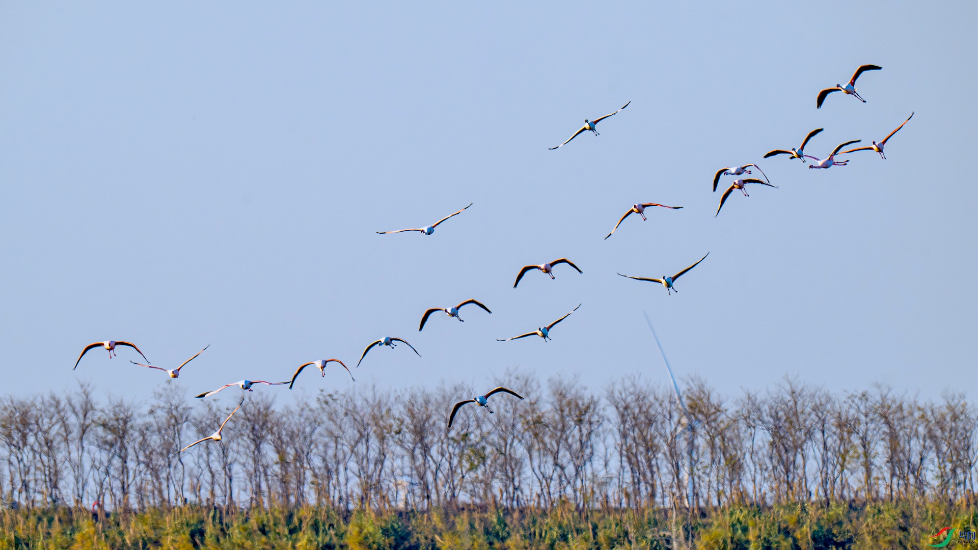 DSC_1694 ����_����.jpg