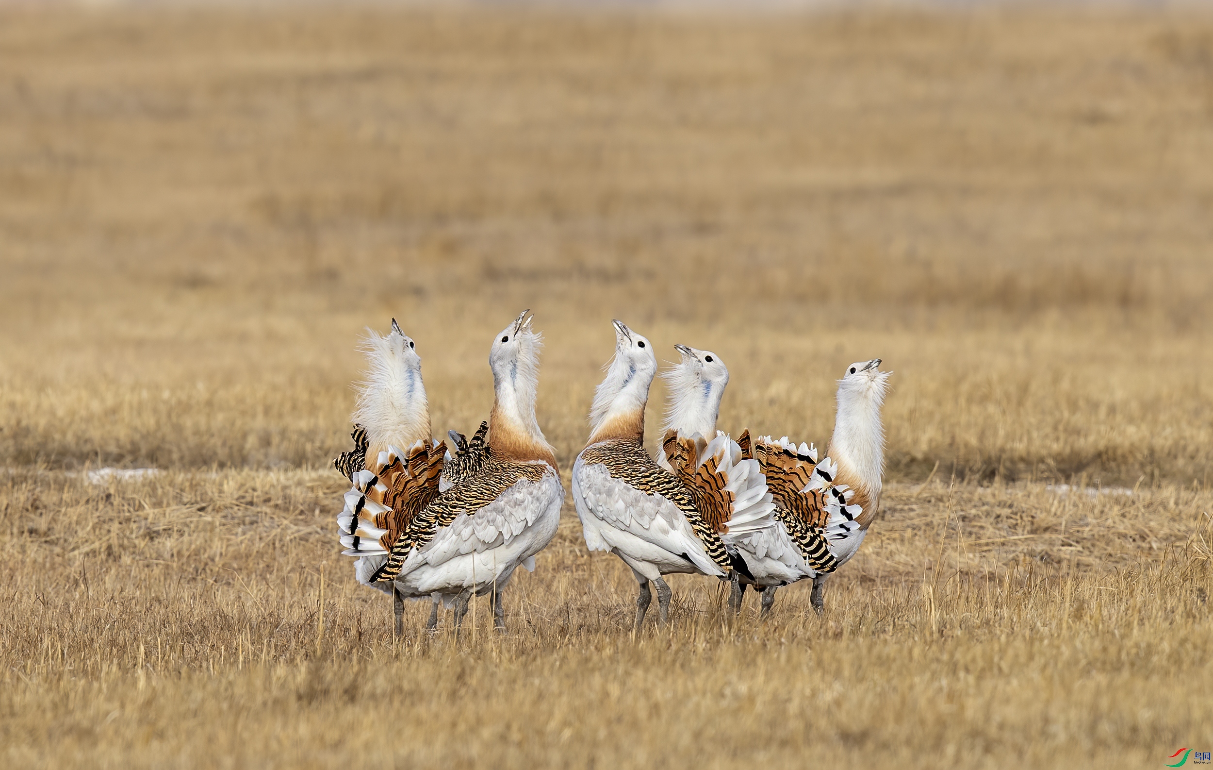 AC3I6979 ����.jpg