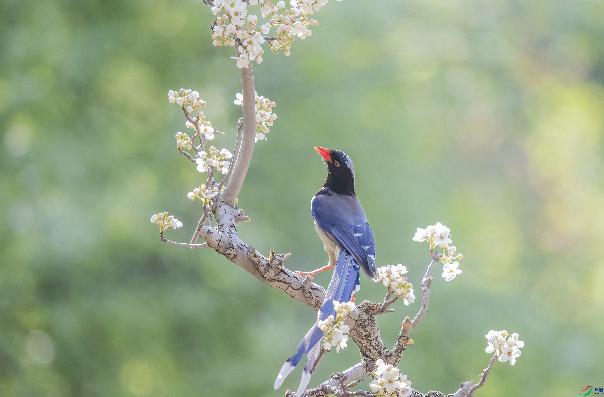 AC3I4110 ����.jpg