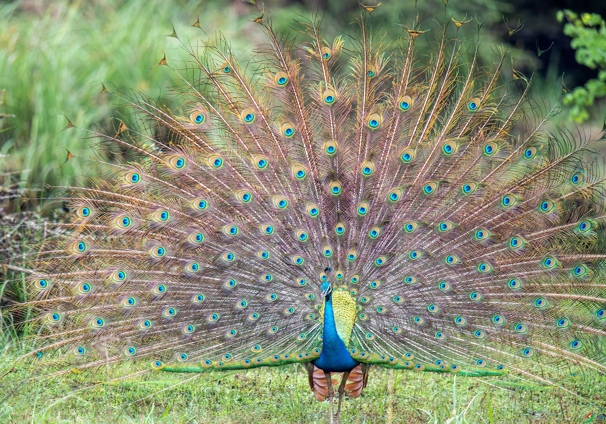 AC3I7230 ����_����_����.jpg