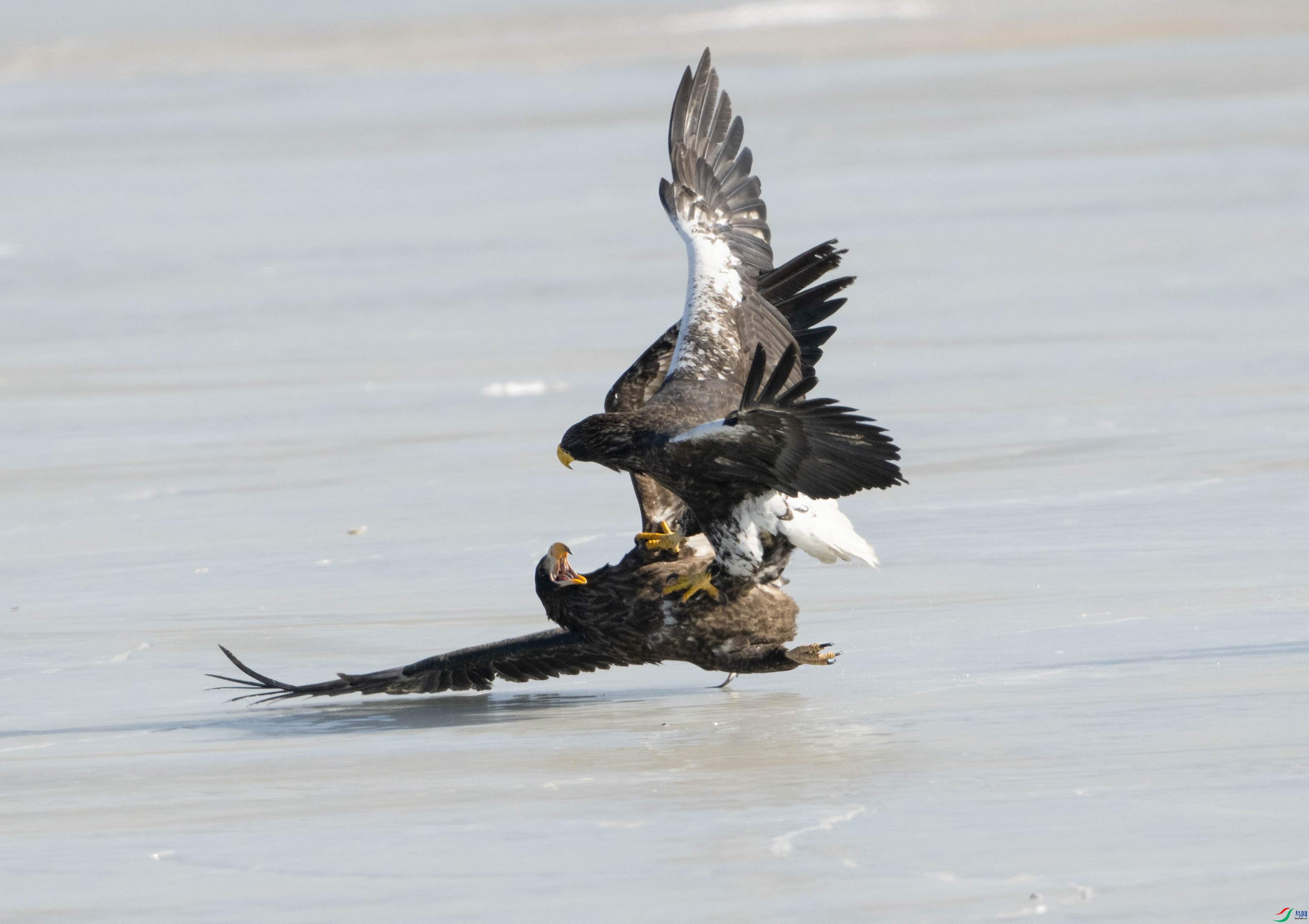 1DS_8253 ����_����.jpg