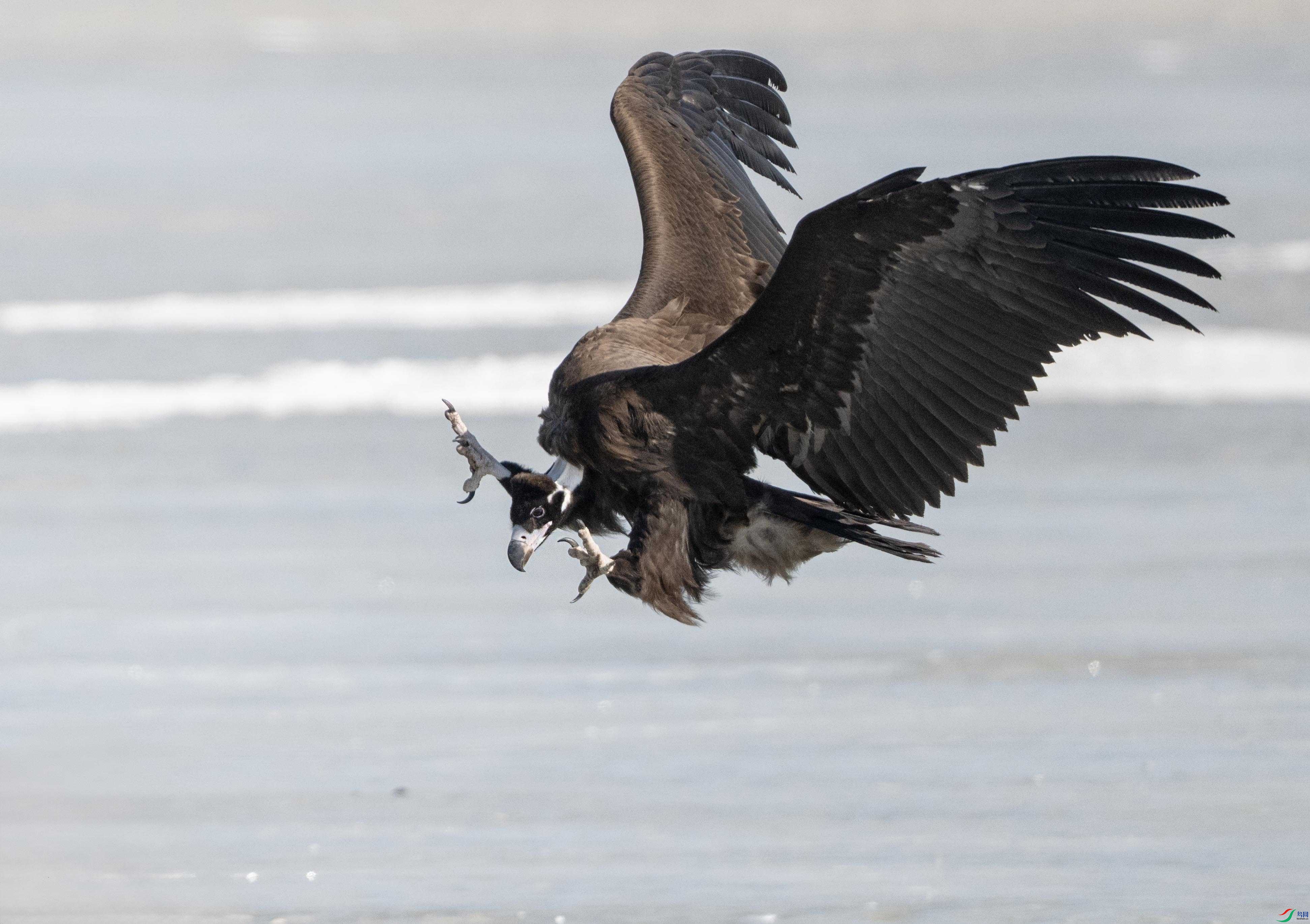 1DS_8341 ����_����.jpg