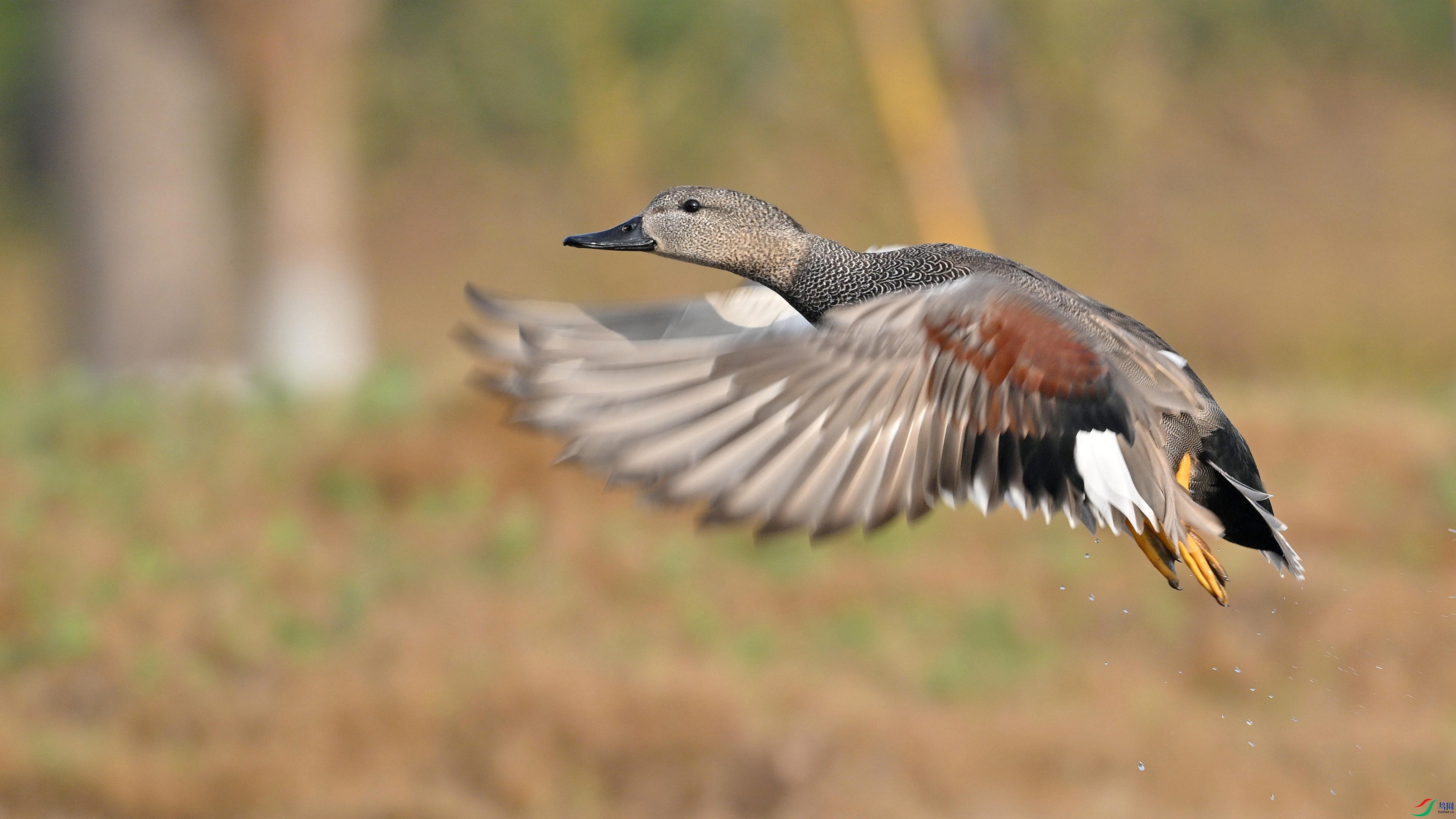 FQP_2910 ���Ѽ ���԰�.jpg