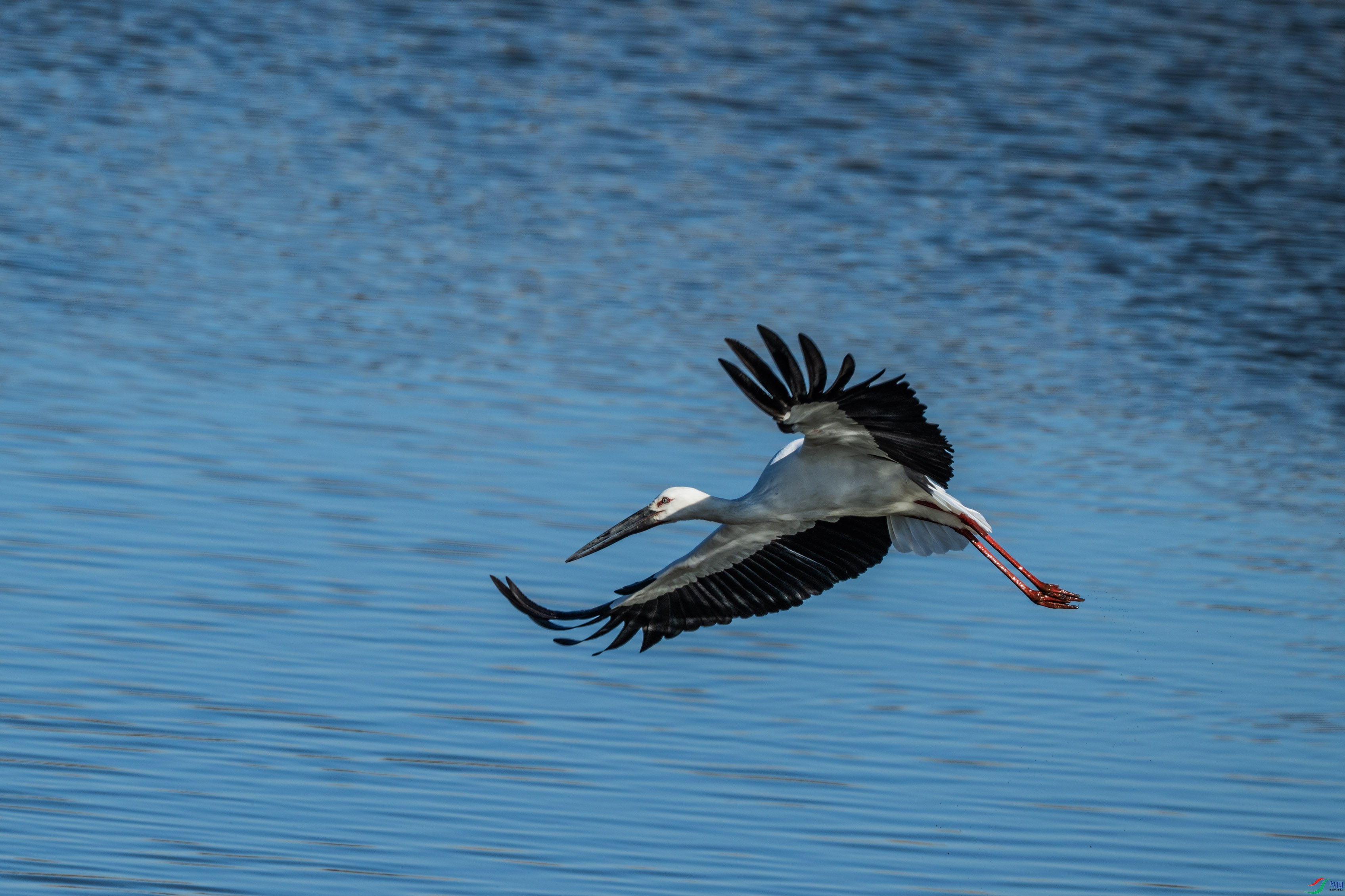 DSC_7295.jpg