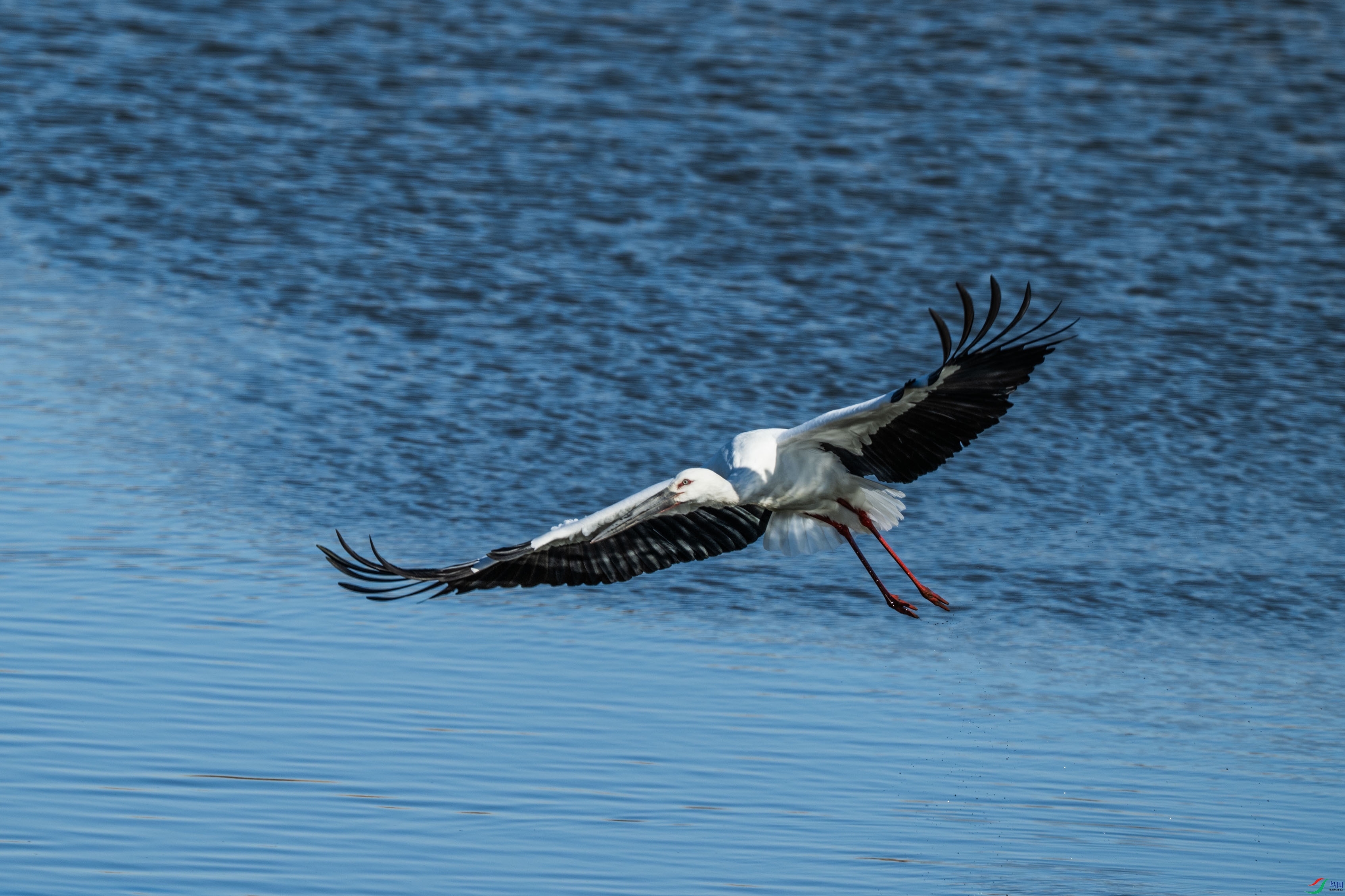 DSC_7291.jpg