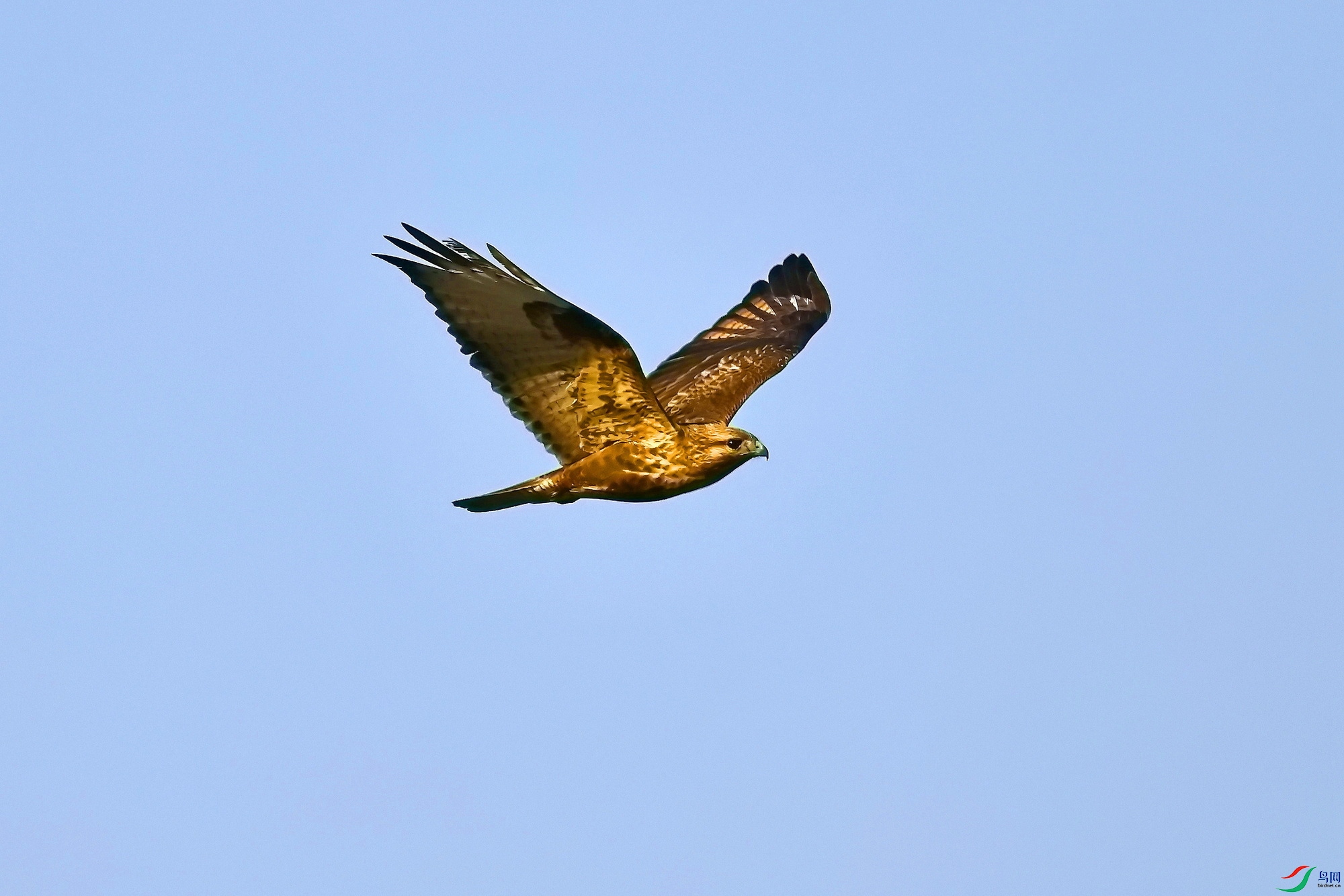 IMG_9098-1.JPG