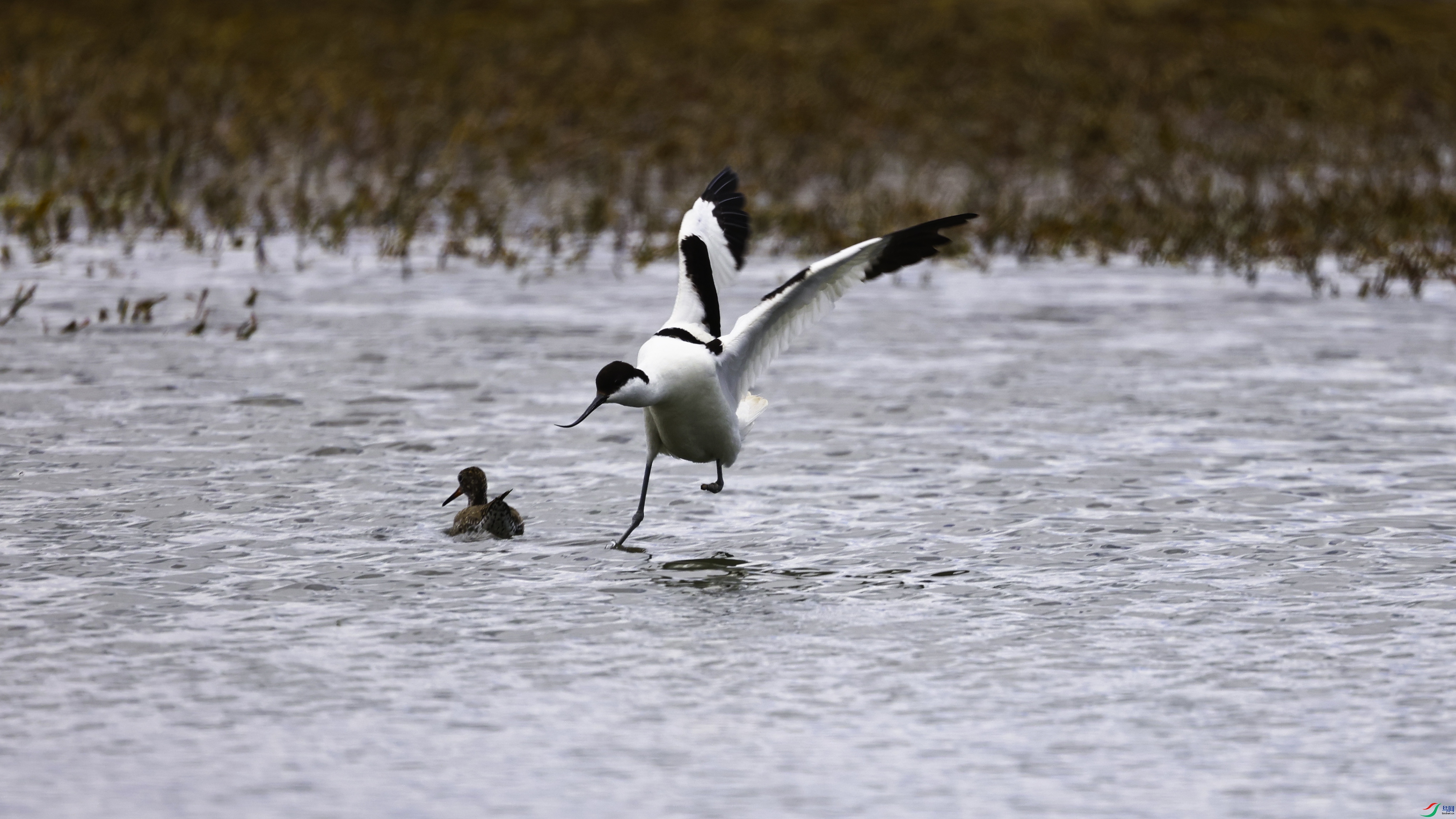 7X5A7211 ����.jpg