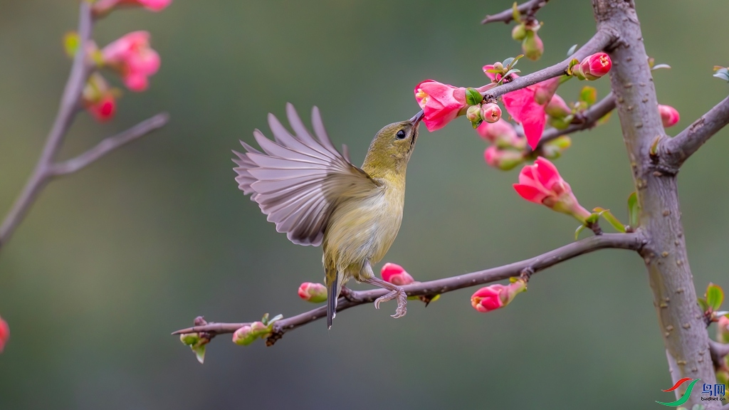 DSC_8119_����.jpg