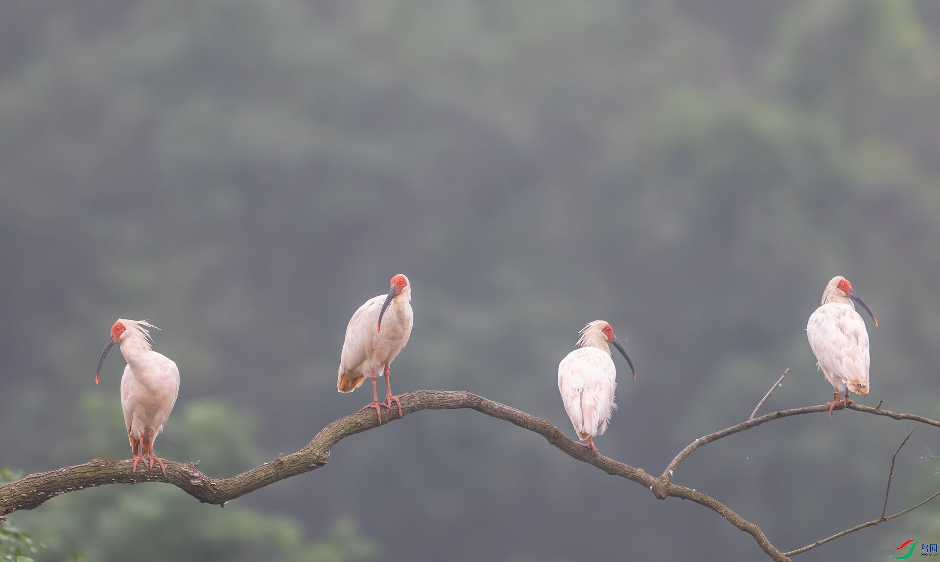 DSC_5441.jpg