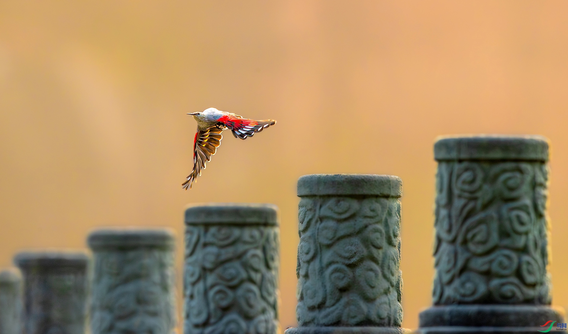 _26_5224 ����.jpg