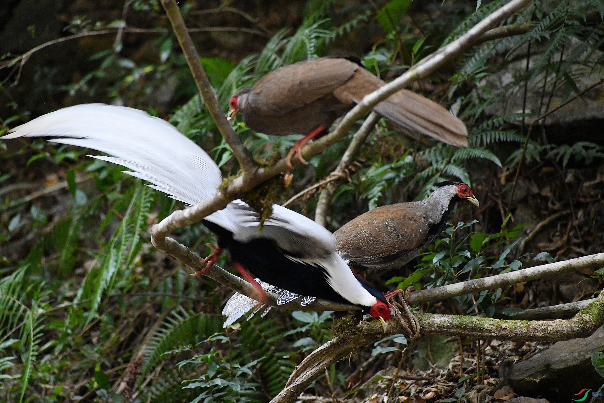 DSC_0078.jpg