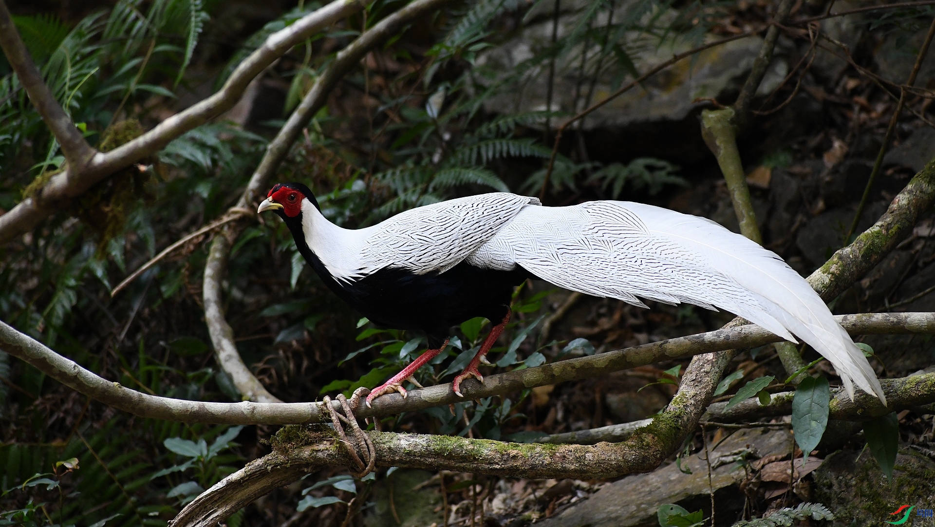 DSC_0036.jpg