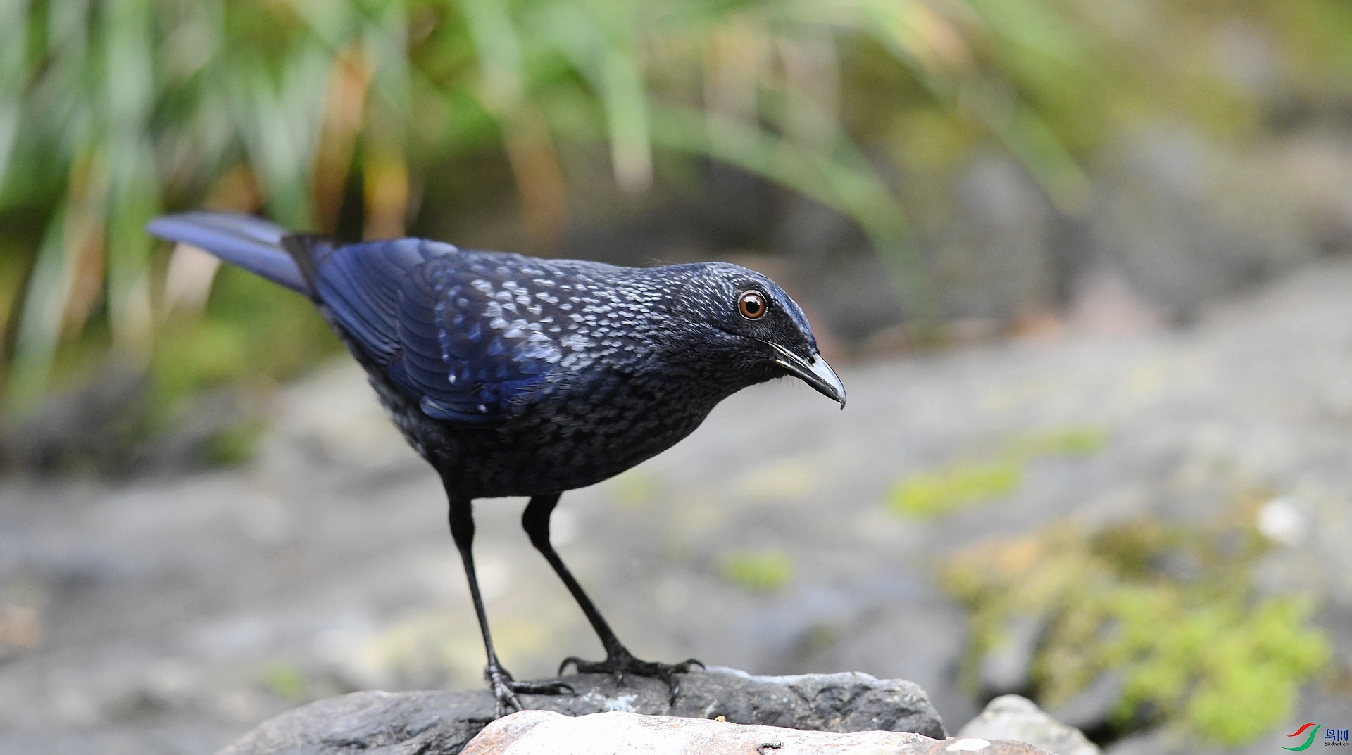 DSC_3457.jpg