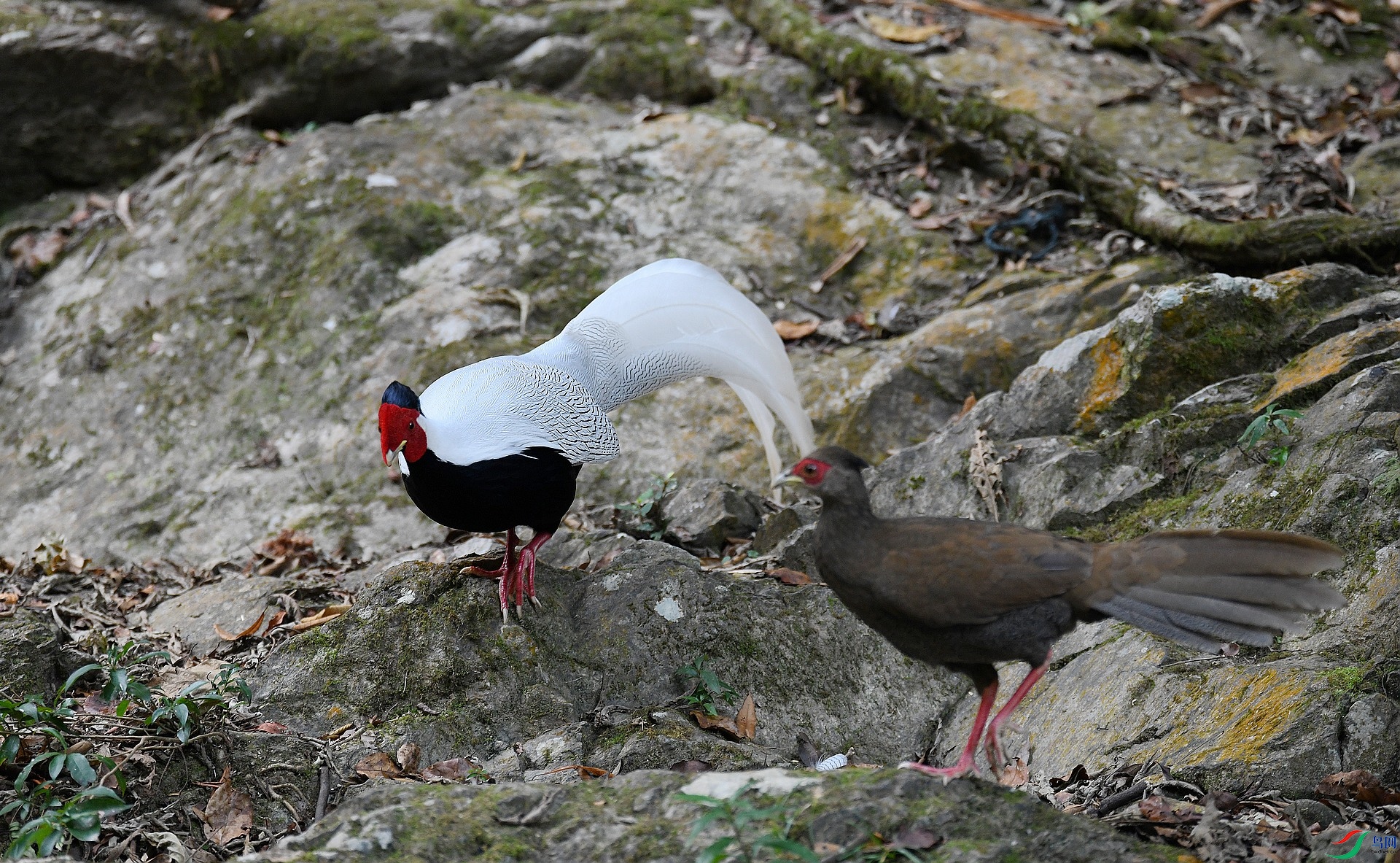 DSC_4890.jpg