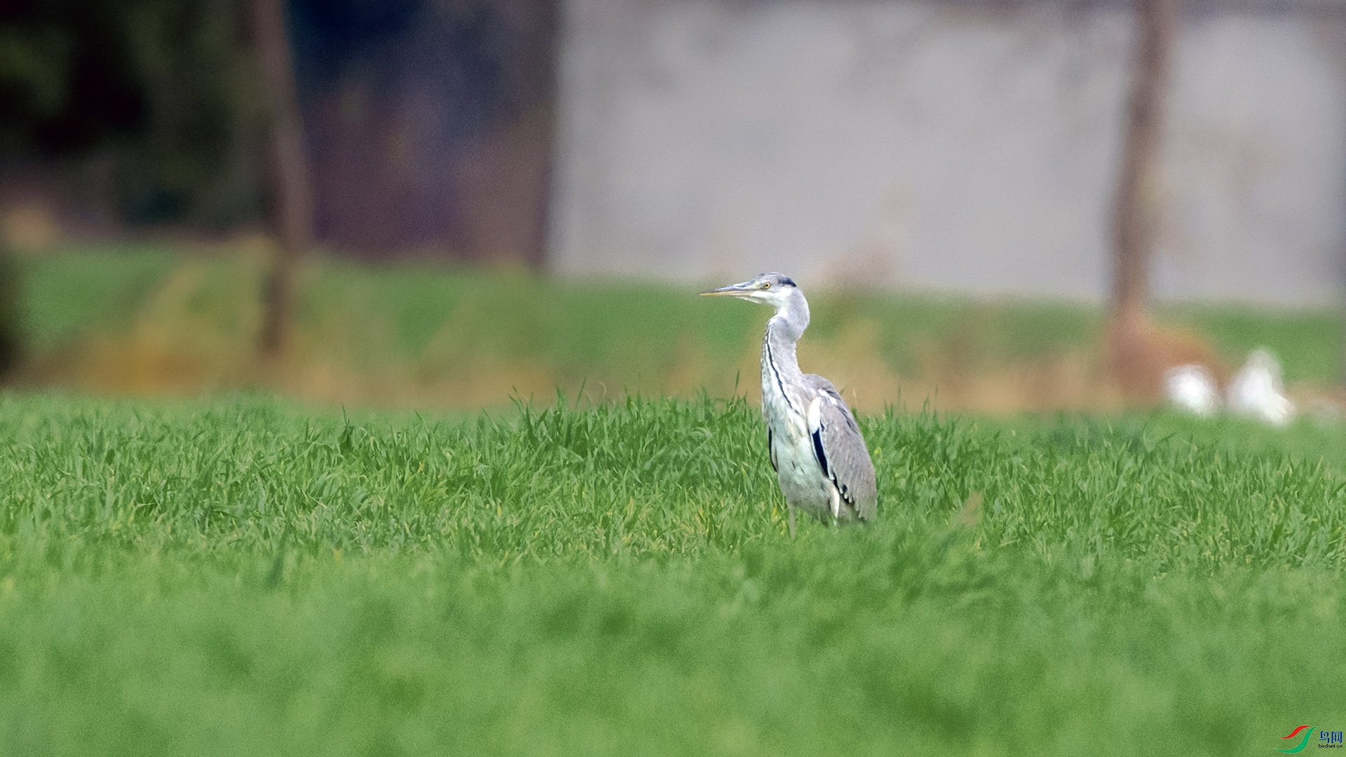 DSC_6121 ����.jpg