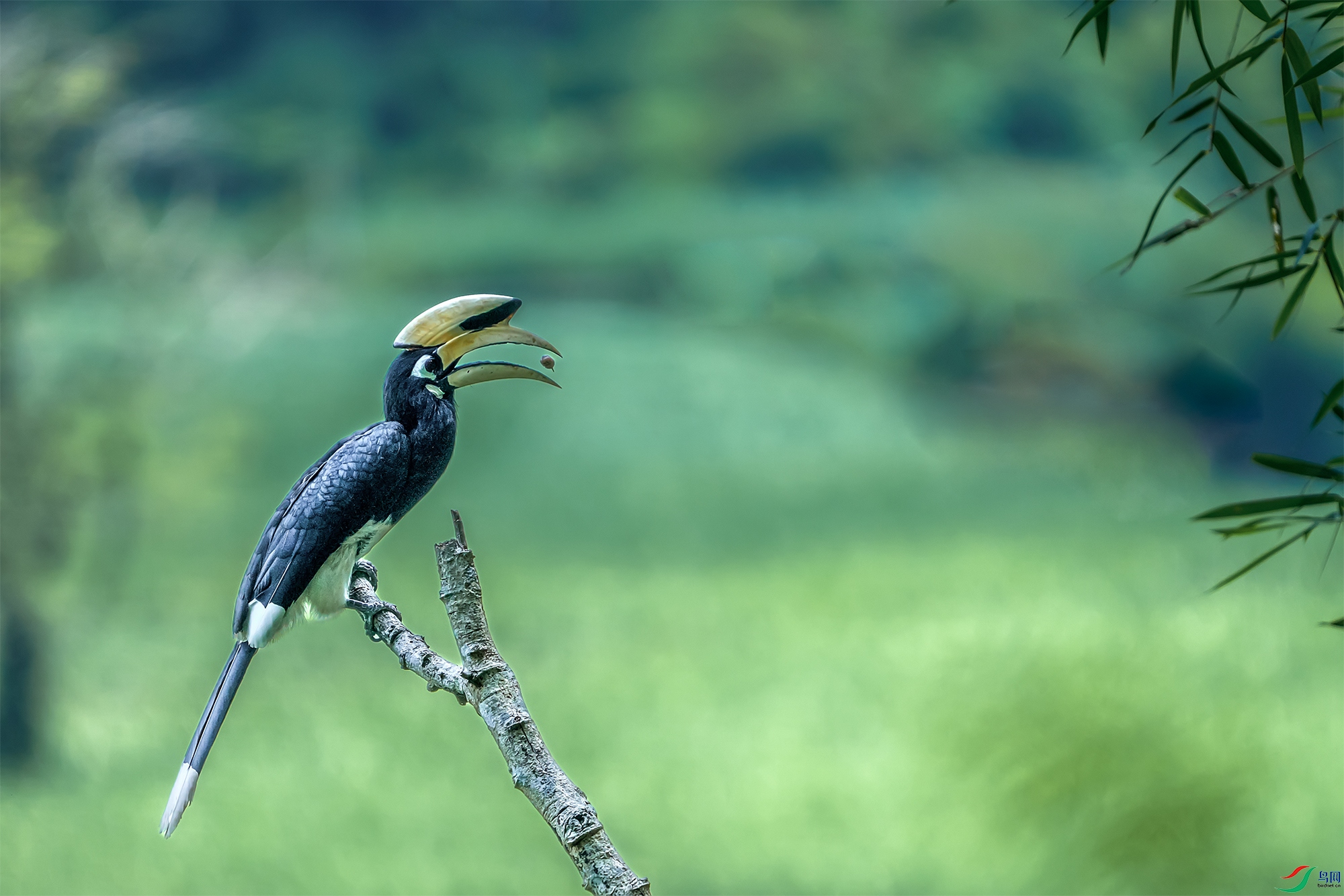 DSC07301 ����aaaa.jpg