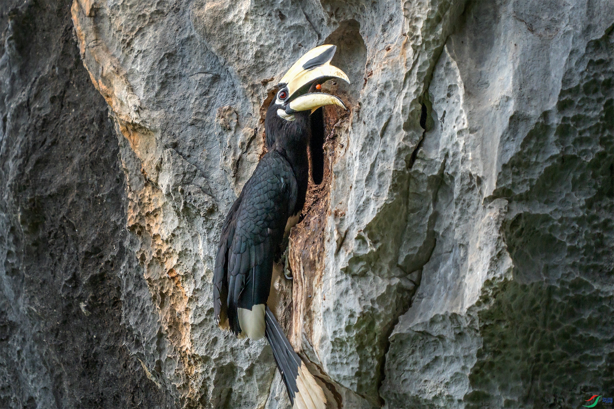 DSC08067 ����.jpg