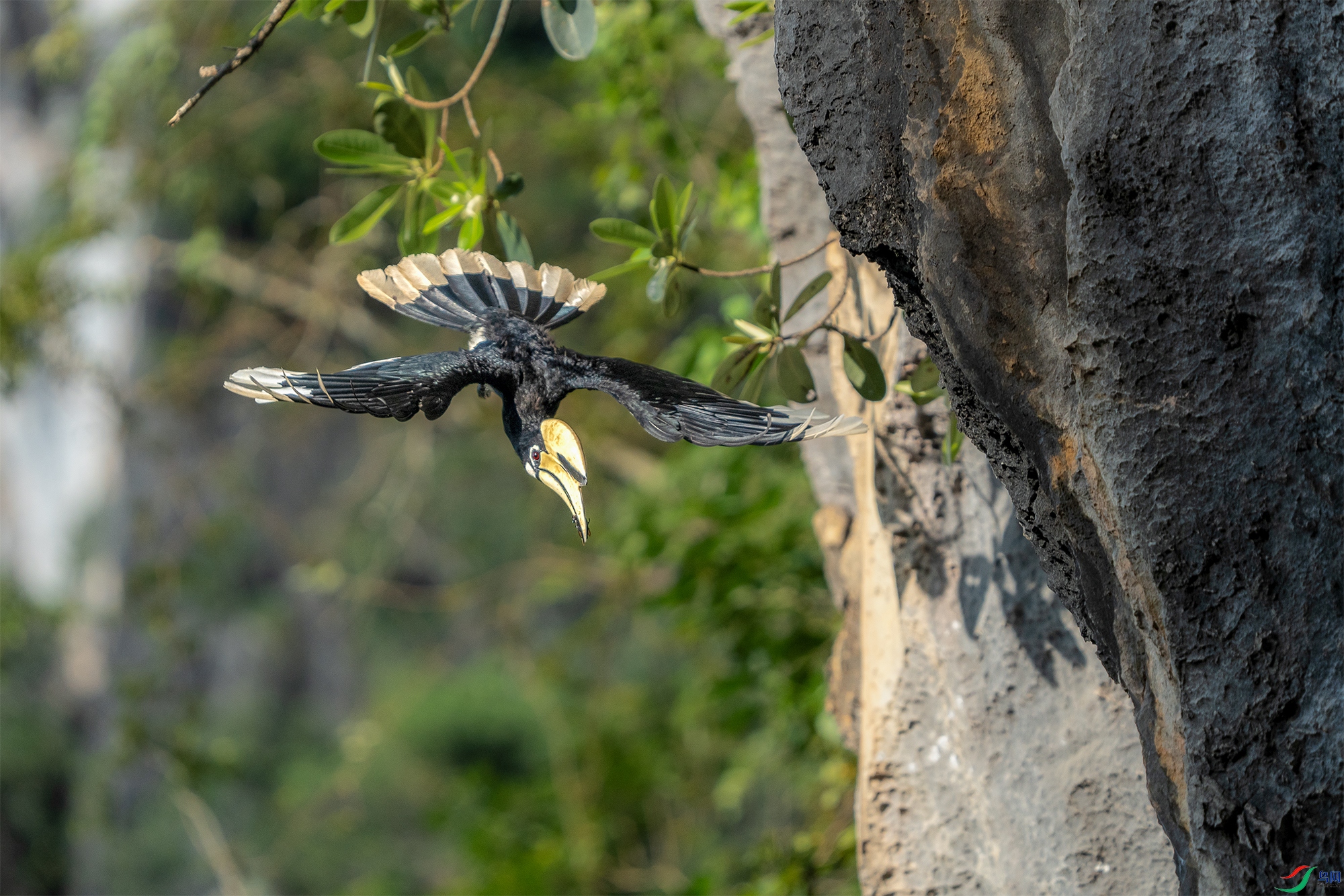 DSC07148 ����.jpg