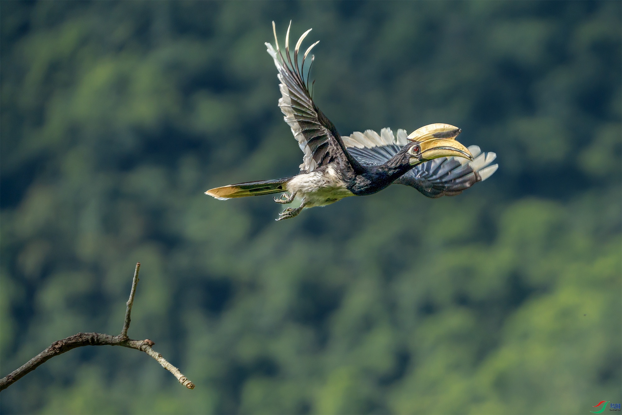 DSC07207 ���� 2.jpg