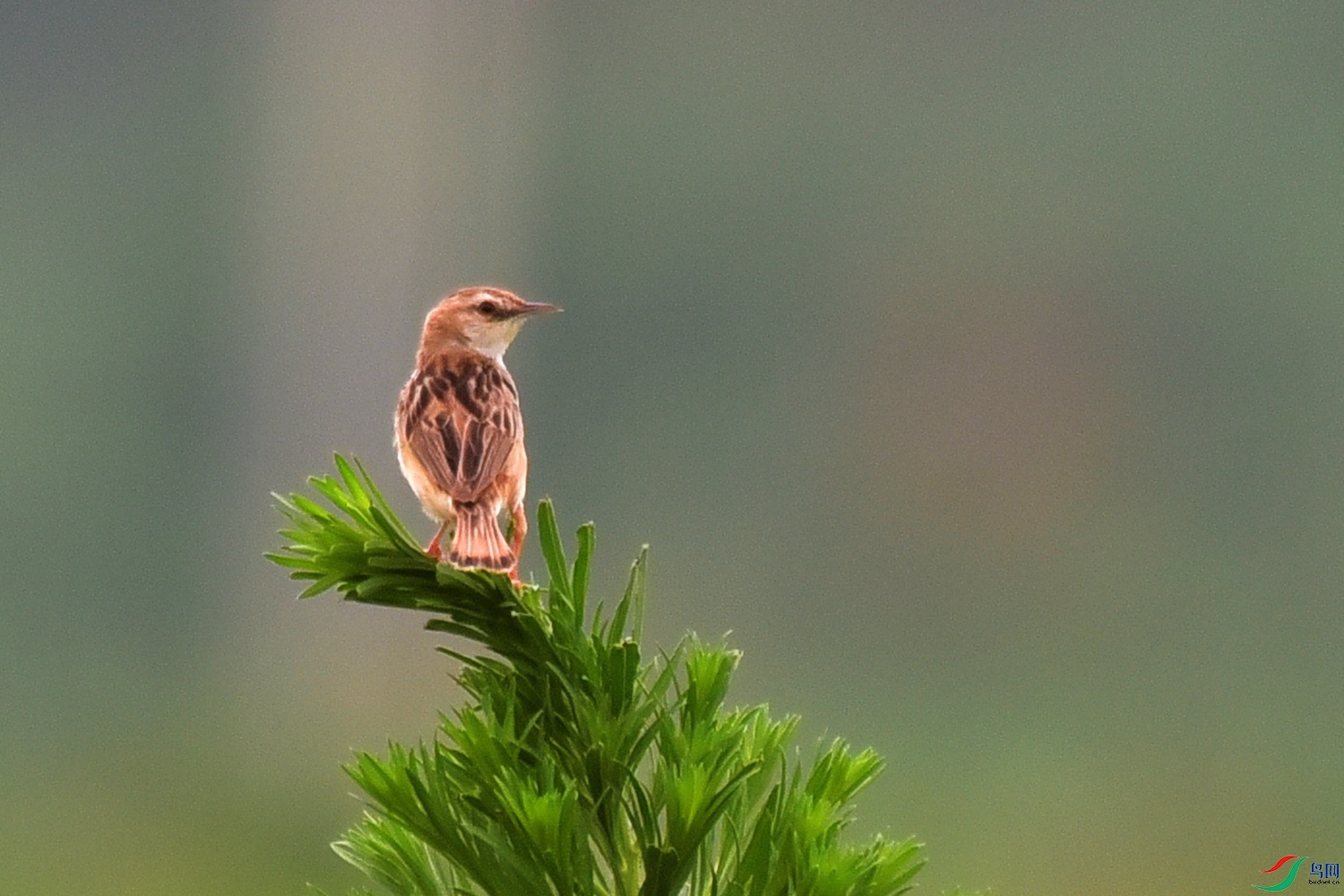 DSC_3204.JPG