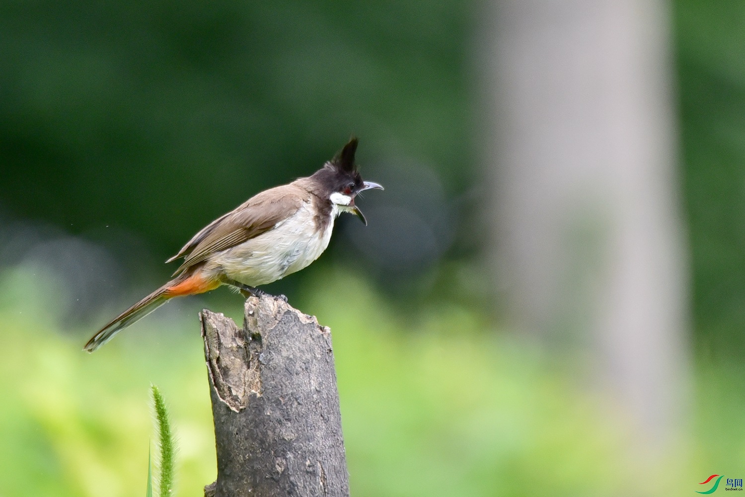 DSC_4170.JPG
