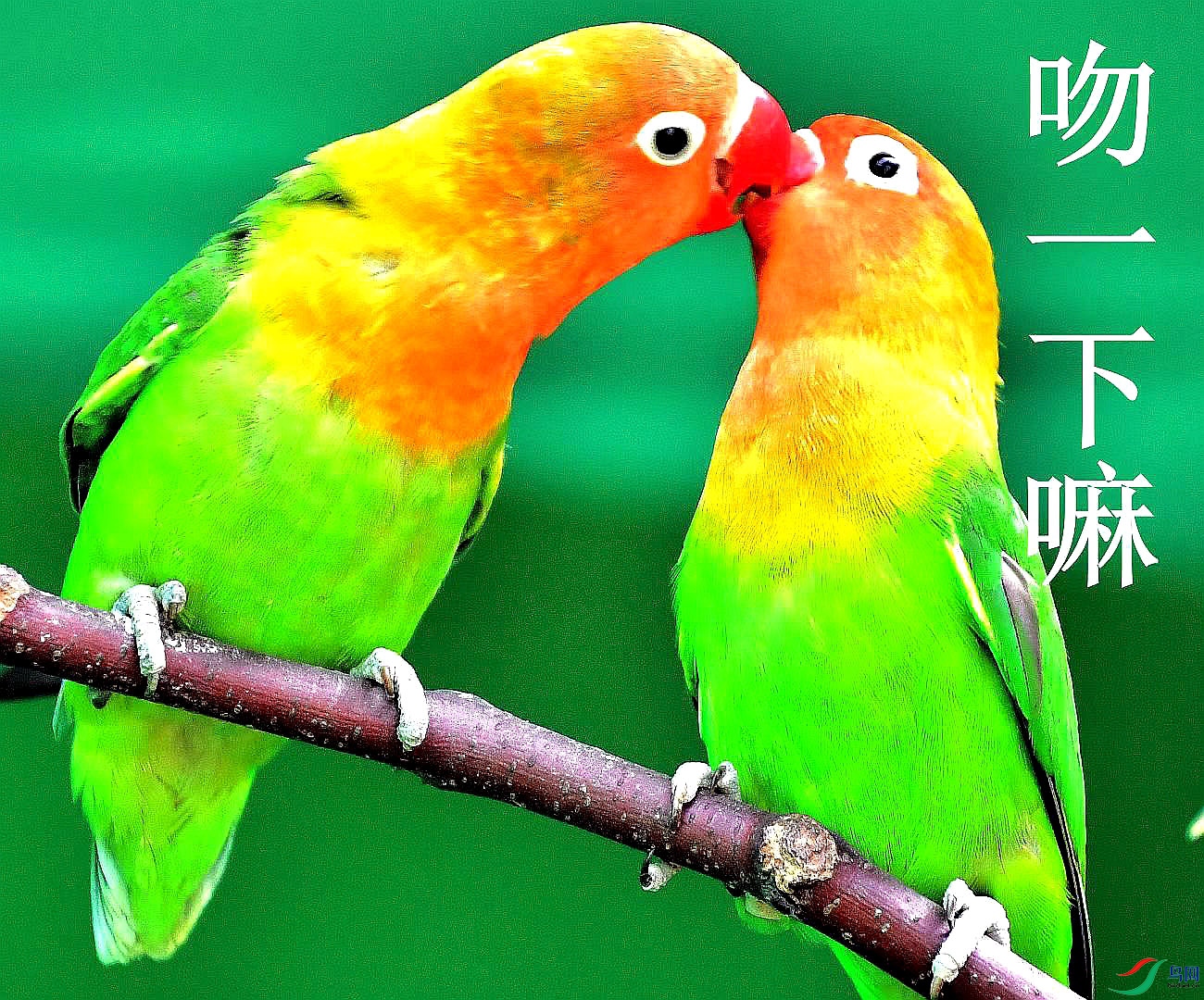 ��һ����