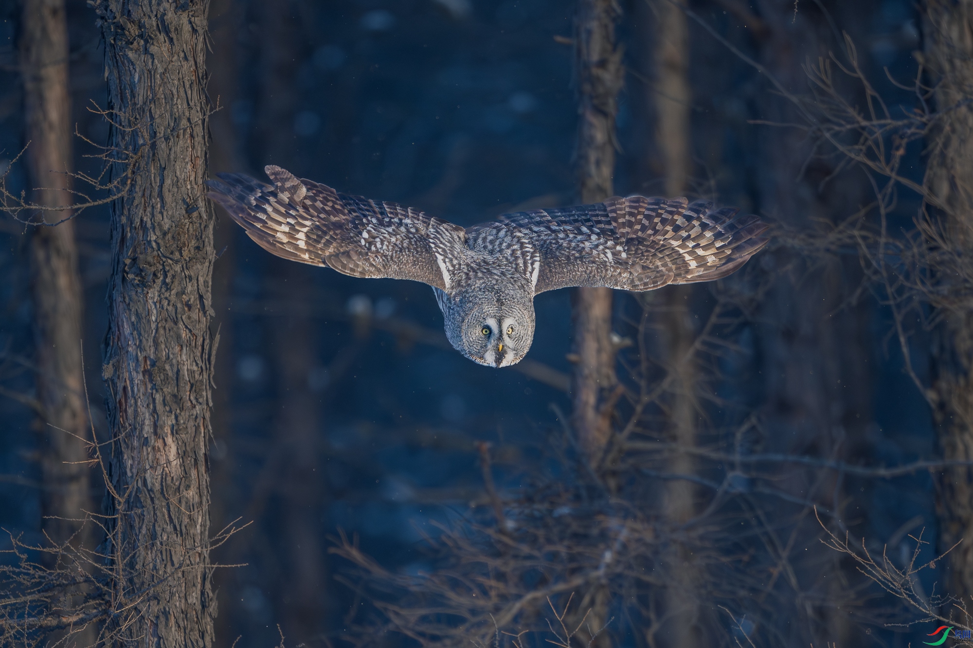 _DSC5828_1.jpg