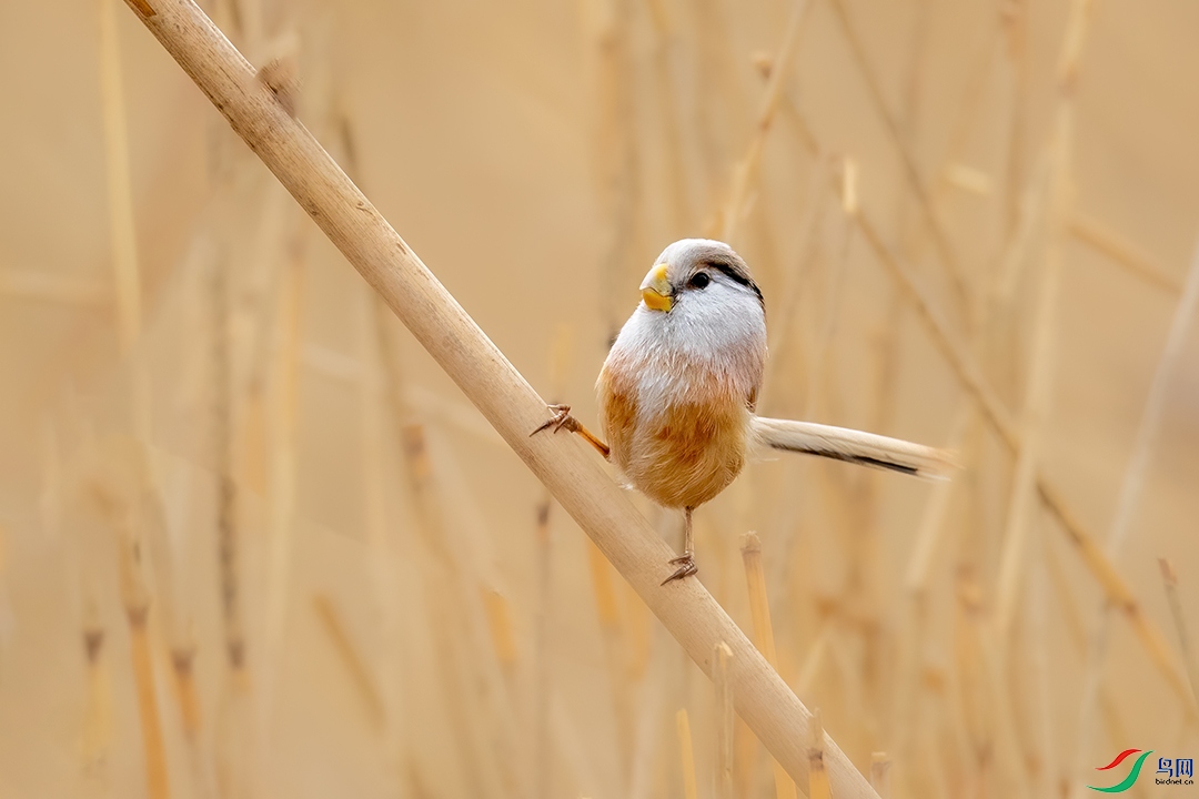 BN5I3015 ����.jpg