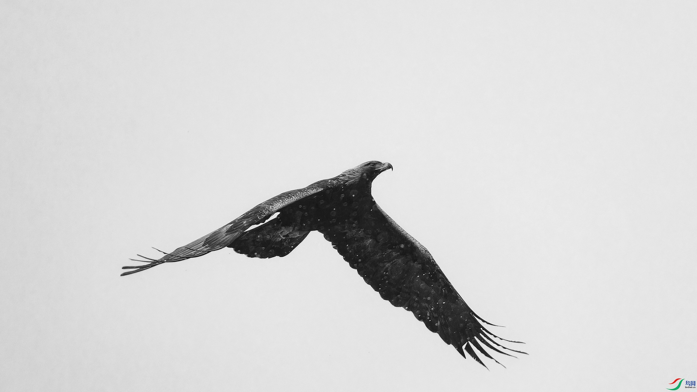 DSC_5010_DxO.jpg